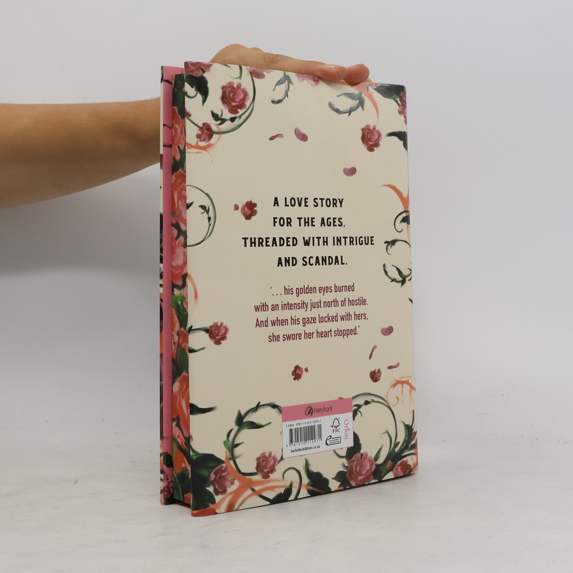 Allison Saft A Fragile Enchantment