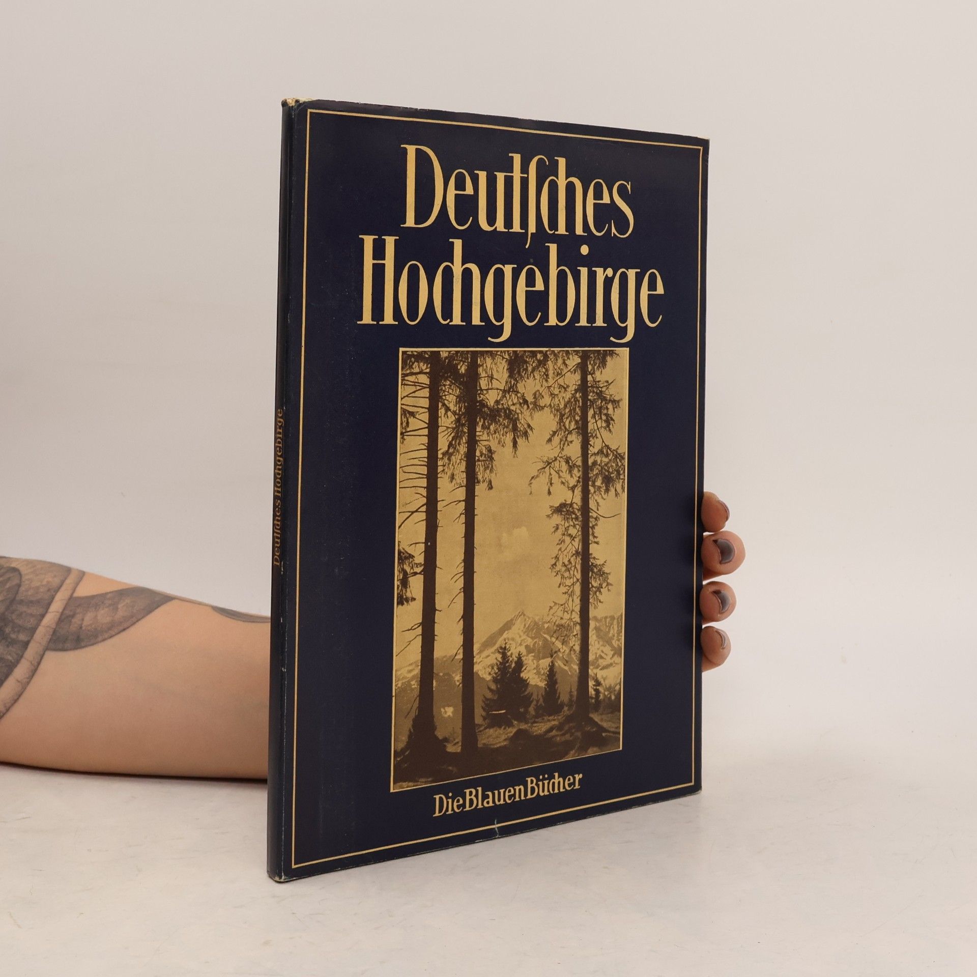 Hans Brandenburg Deutsches Hochgebirge
