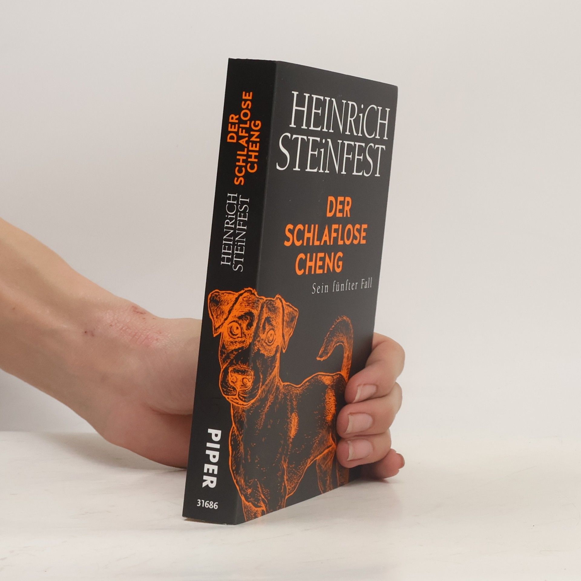 Heinrich Steinfest Der schlaflose Cheng. Sein fünfter Fall