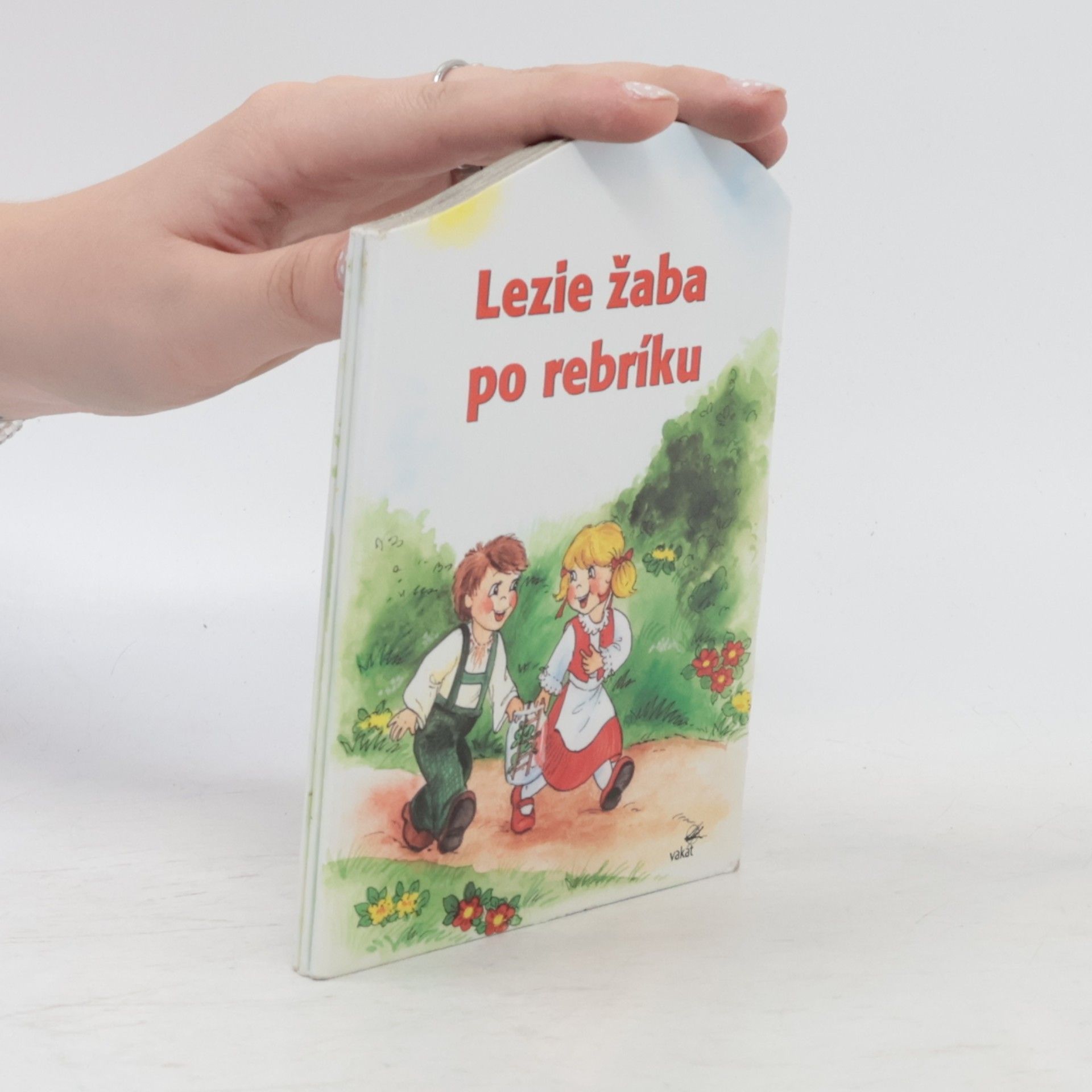 Collectif d'auteurs Lezie žaba po rebríku