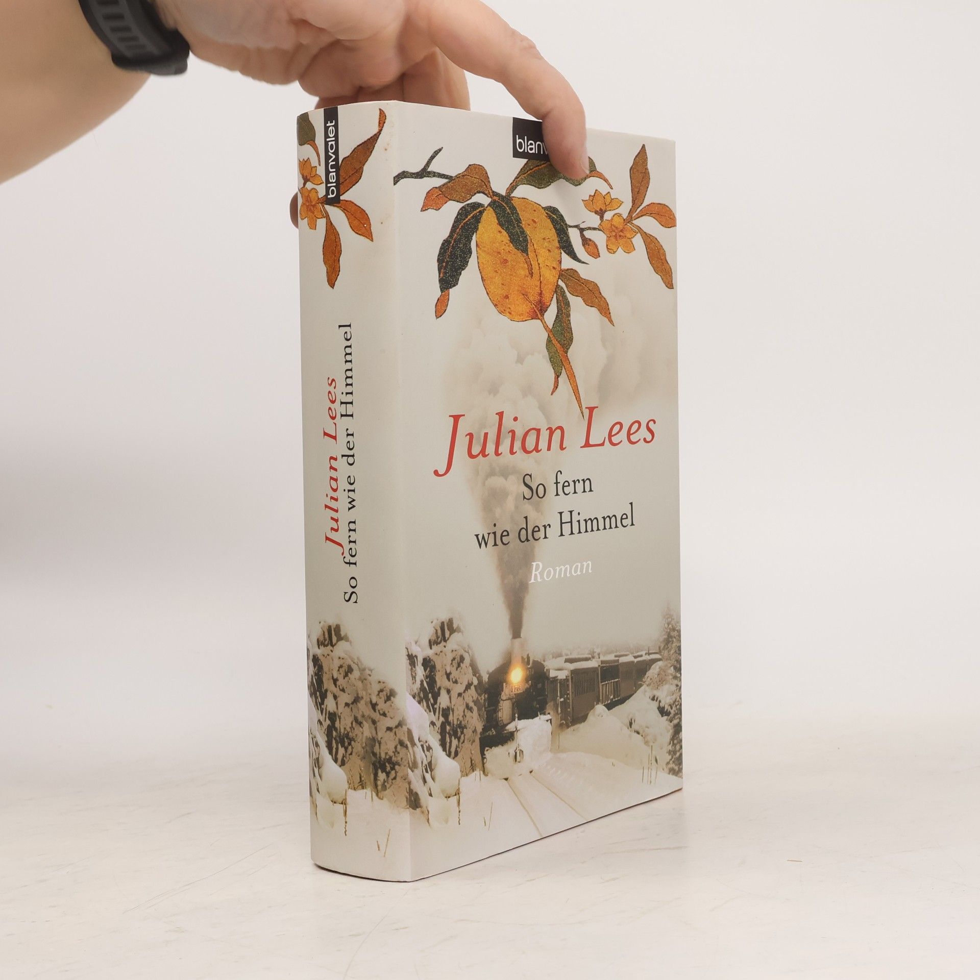 Julian Lees So fern wie der Himmel