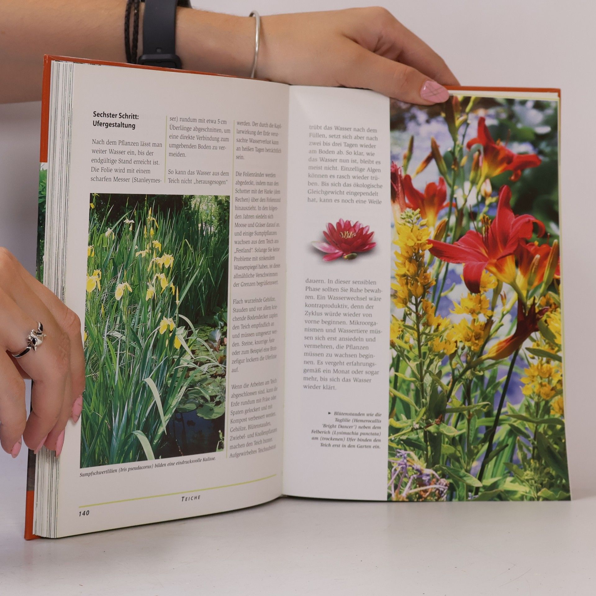 Daniel Böswirth Handbuch Gartengestaltung
