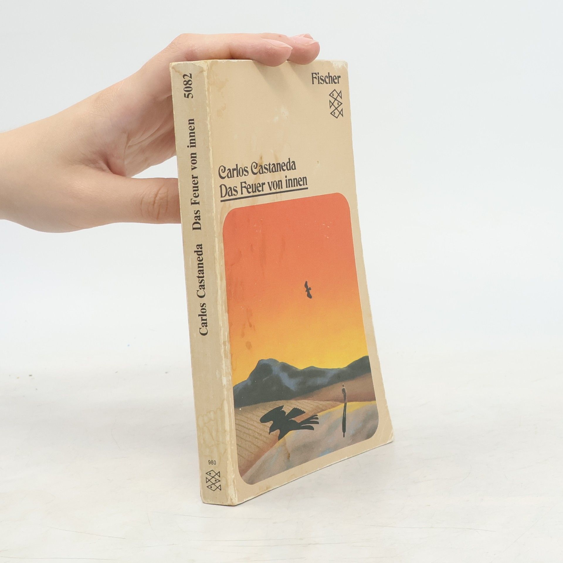 Carlos Castaneda Das Feuer von innen