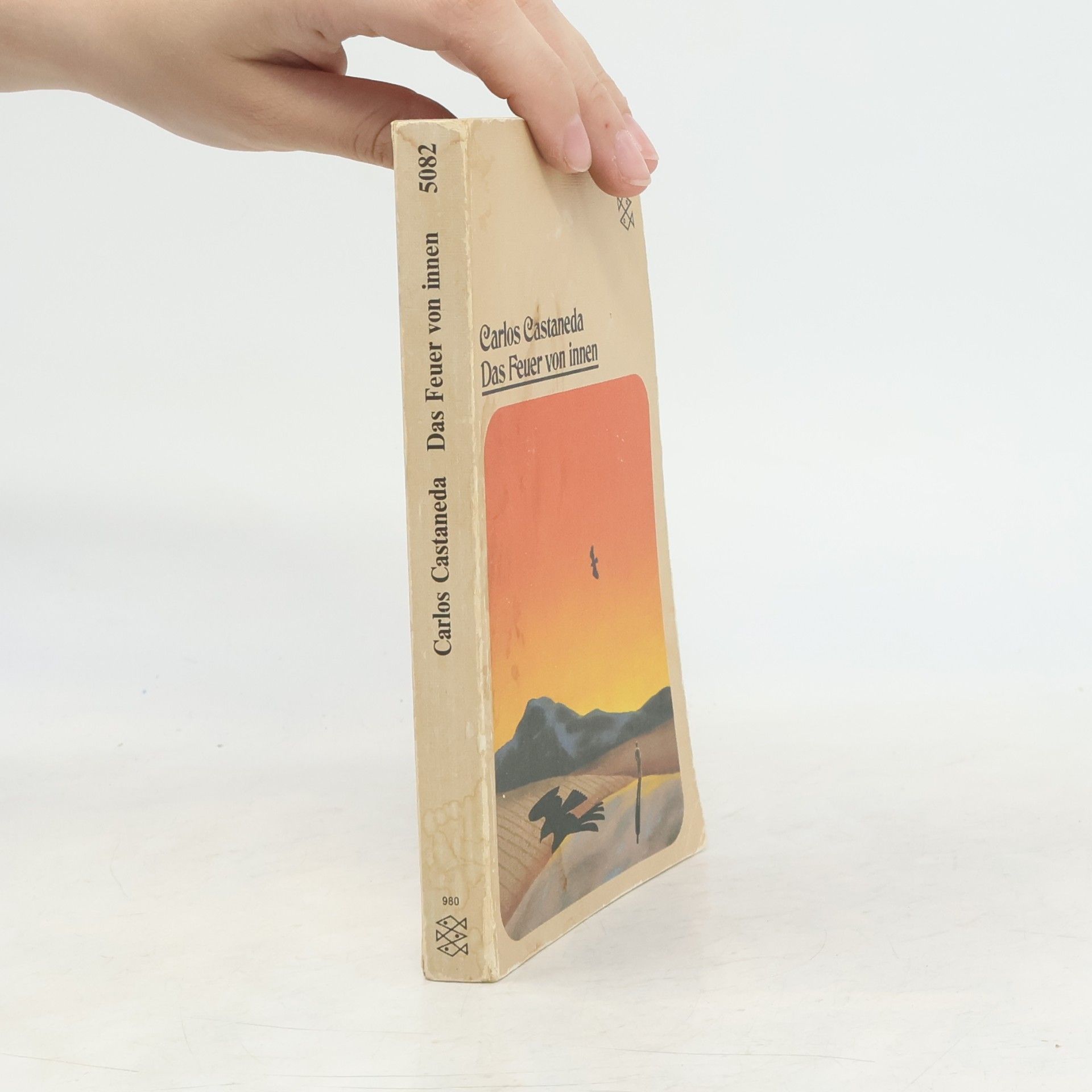 Carlos Castaneda Das Feuer von innen