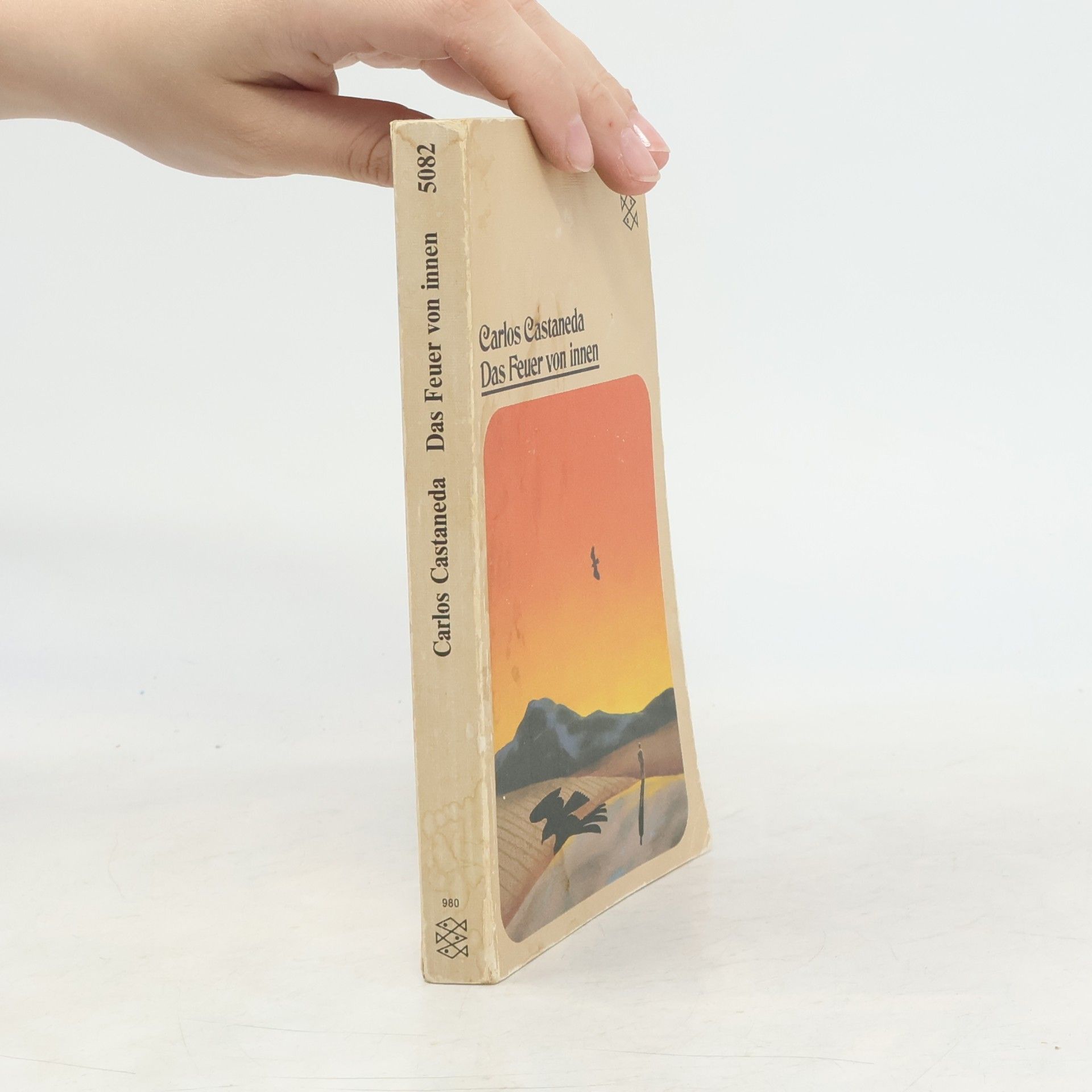 Carlos Castaneda Das Feuer von innen