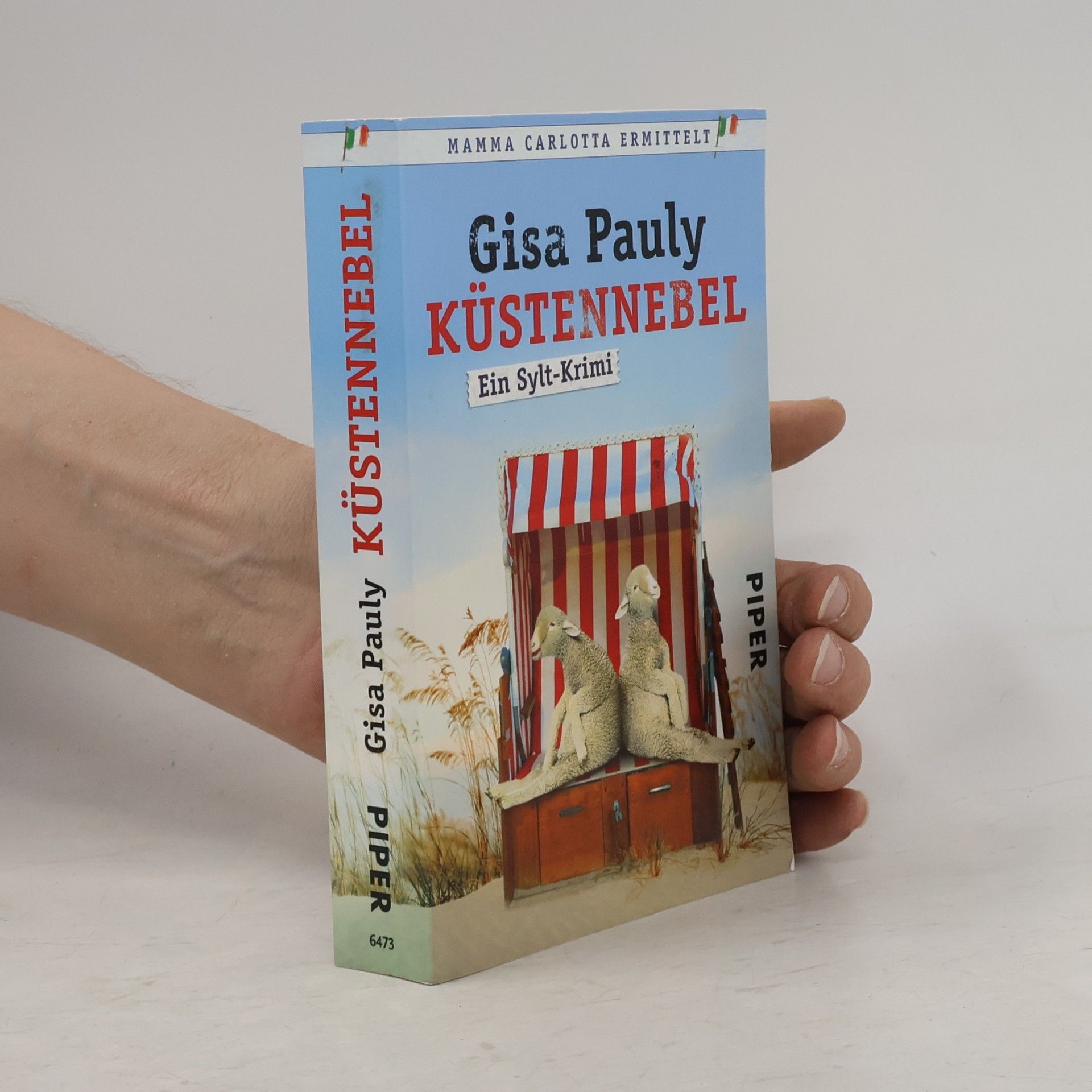 Gisa Pauly Küstennebel