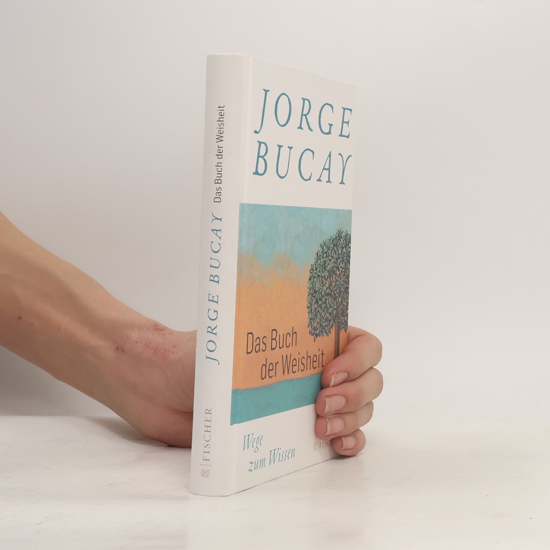 Jorge Bucay Das Buch der Weisheit