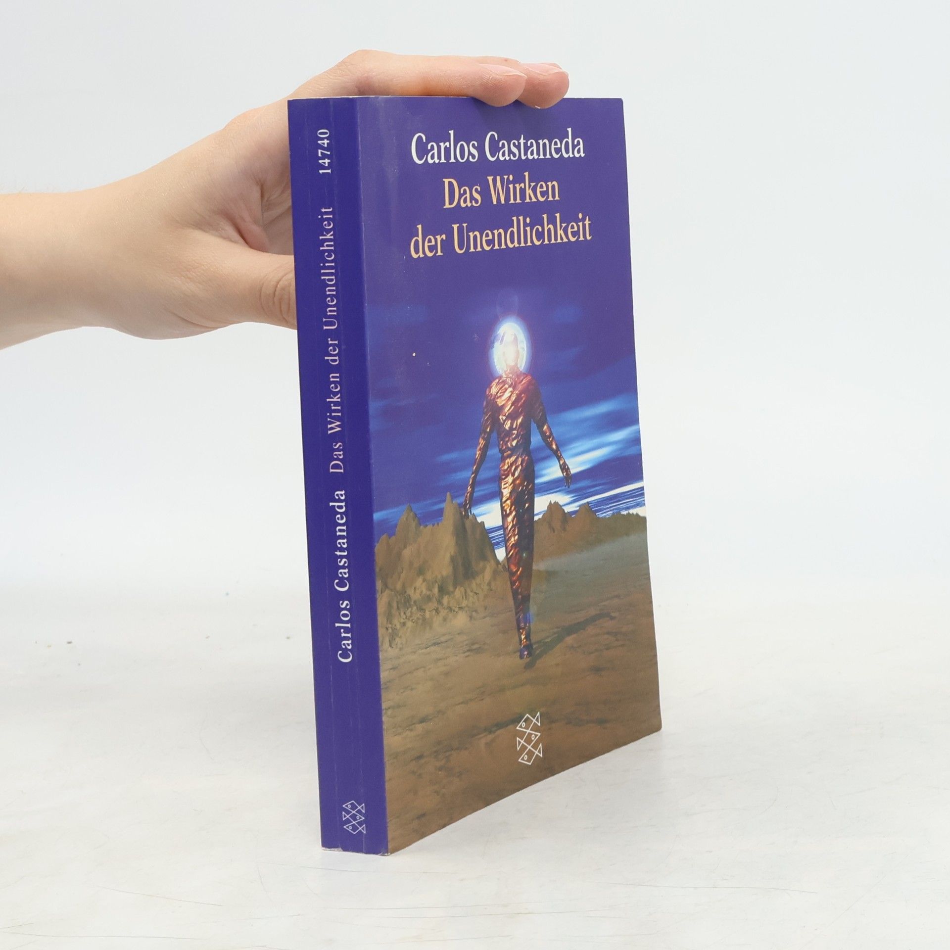 Carlos Castaneda Das Wirken der Unendlichkeit