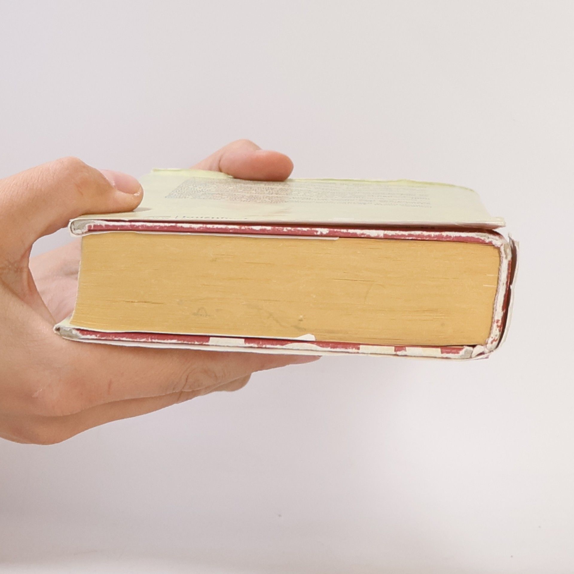Jiří Šulc Dva proti Říši