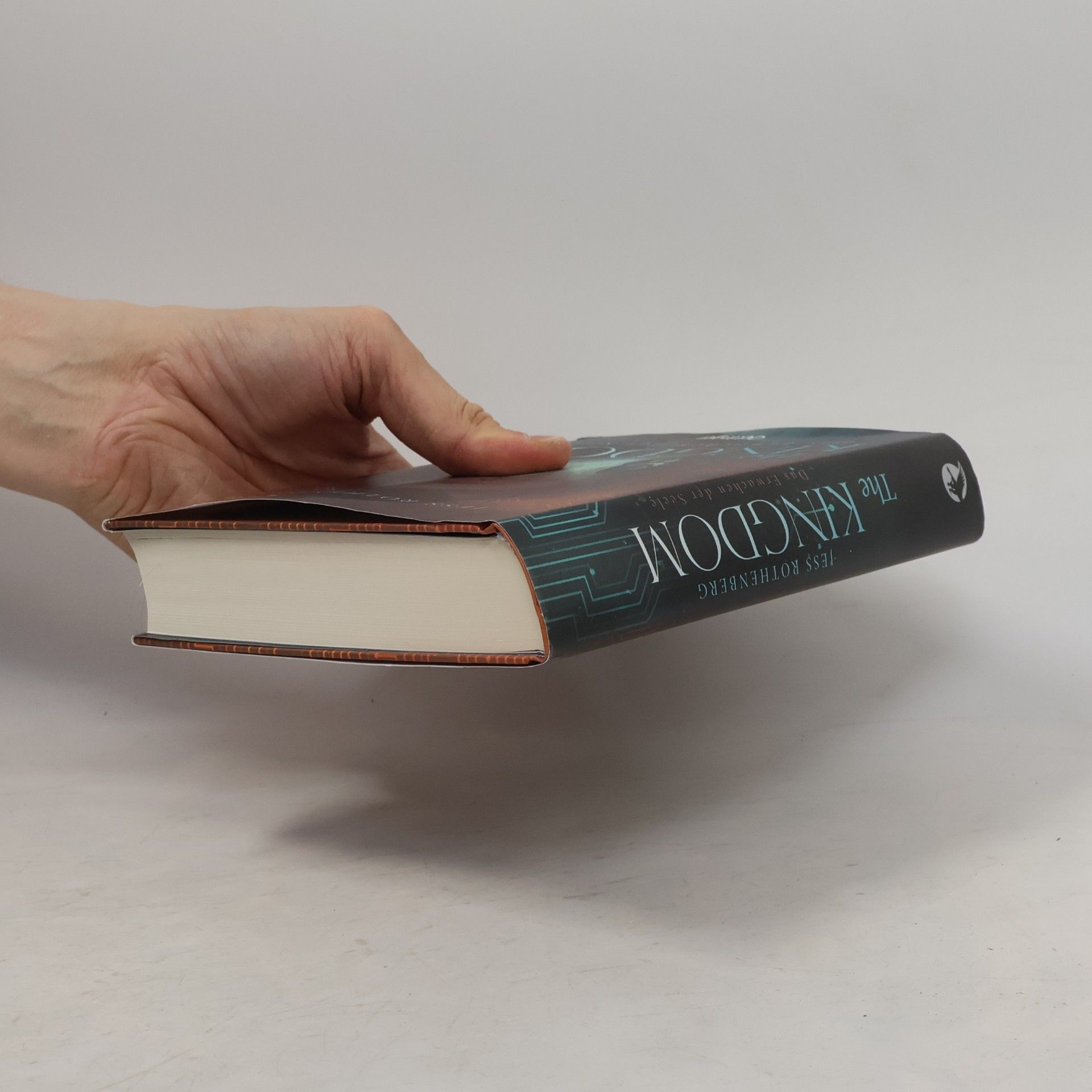 Jess Rothenberg The kingdom - das Erwachen der Seele