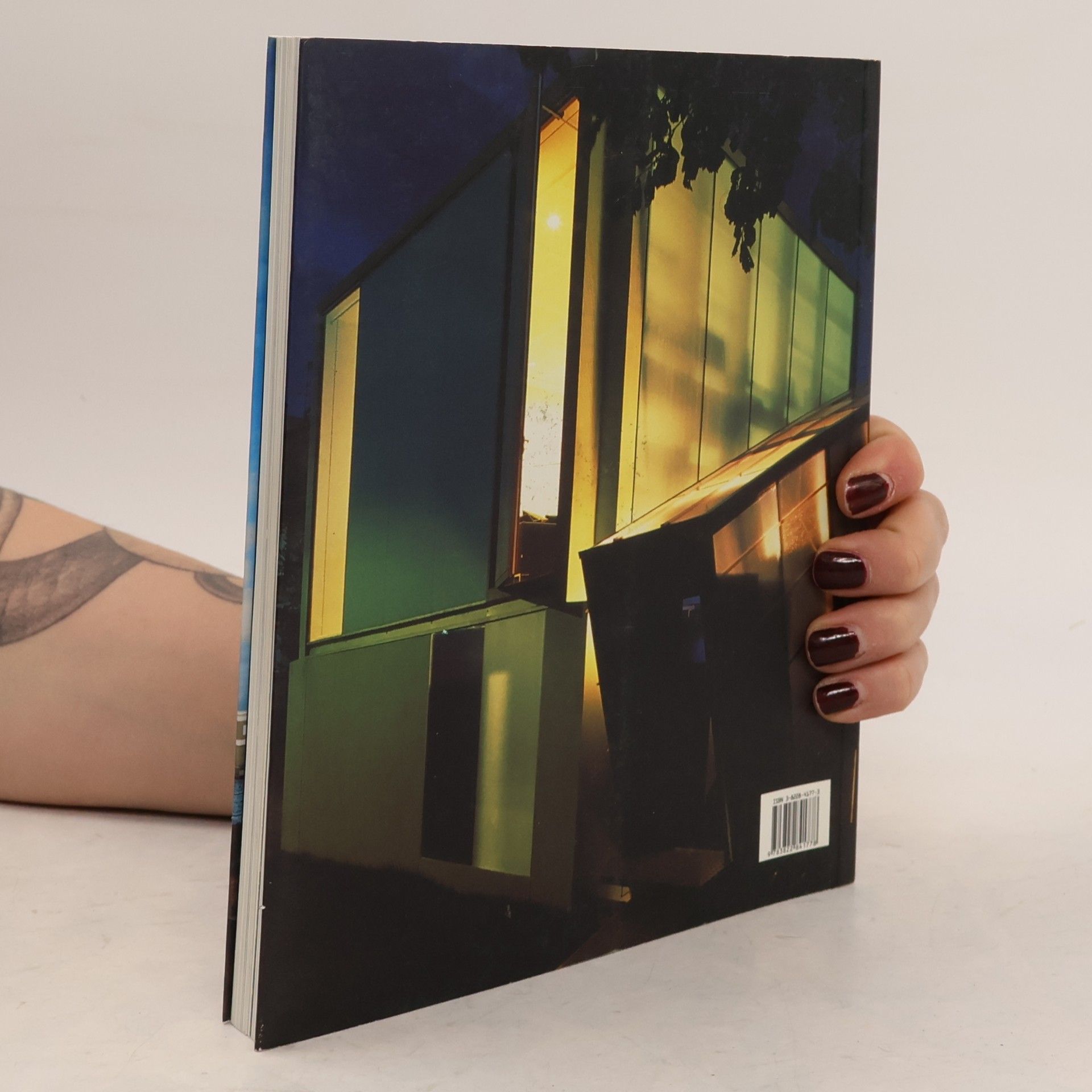 Simone Schleifer Casas Pequenas/small Things