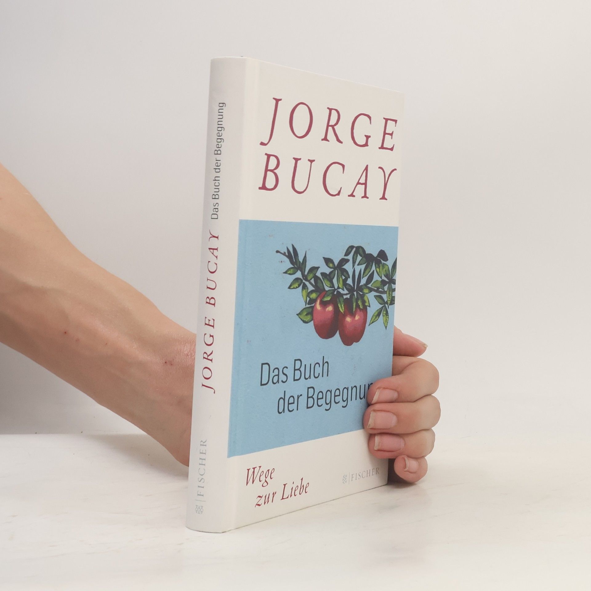 Jorge Bucay Das Buch der Begegnung