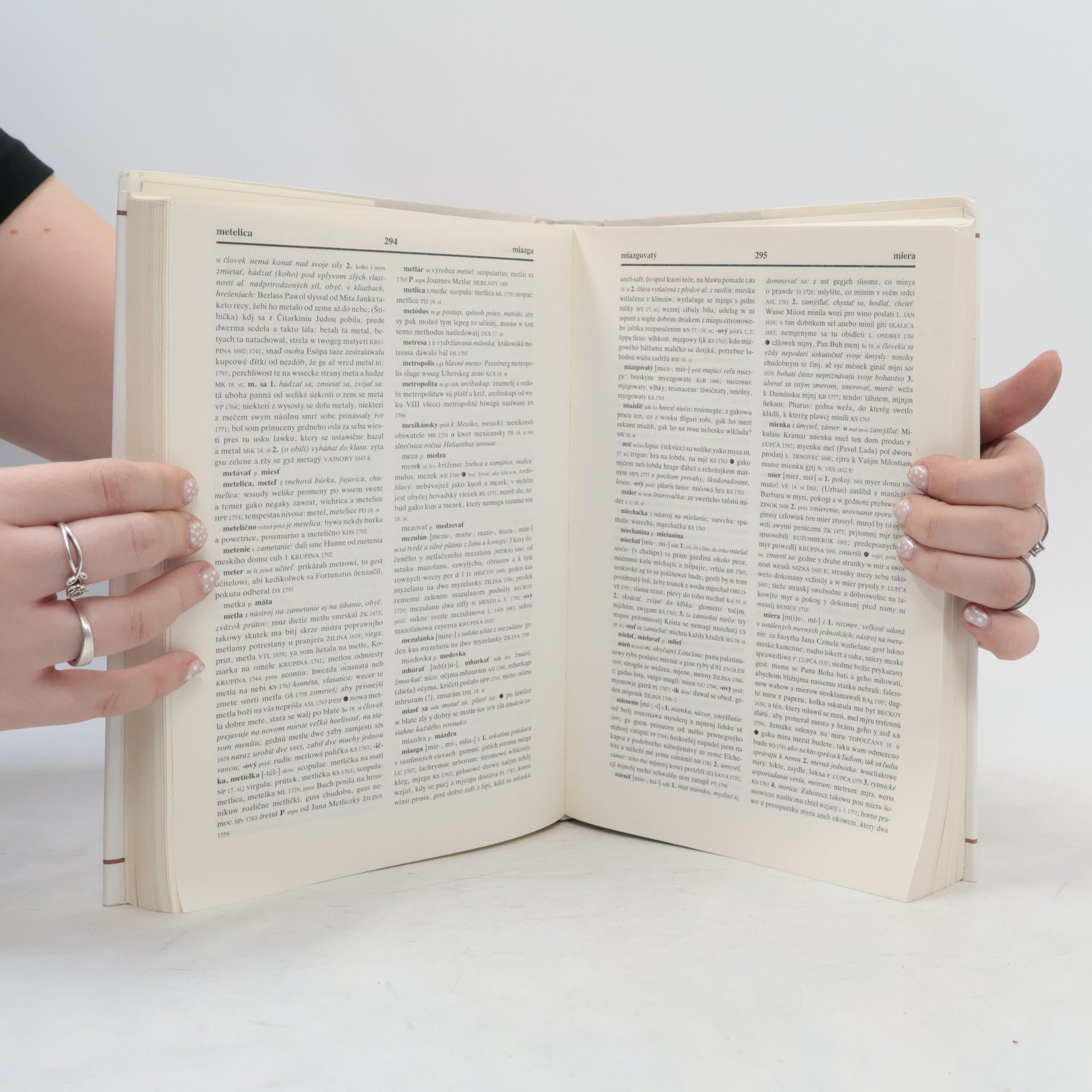Autorenkollektiv Historický slovník slovenského jazyka II: K–N