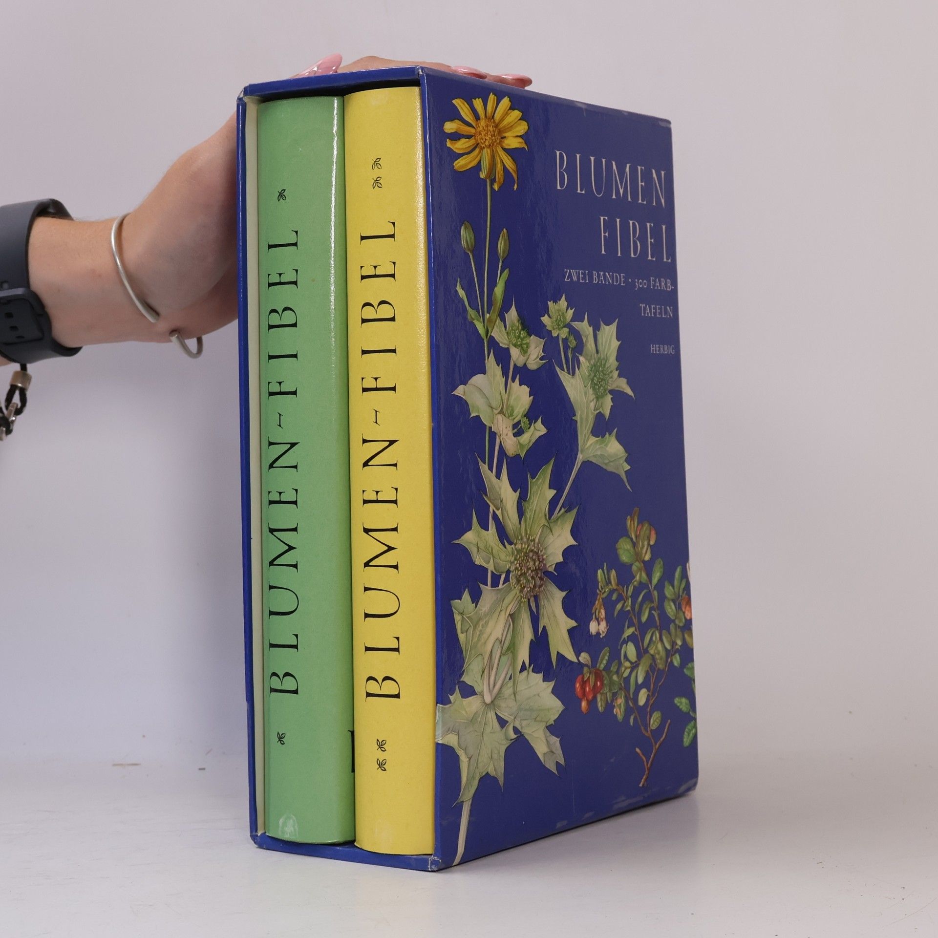 Autorenkollektiv Blumen-Fibel 1-2