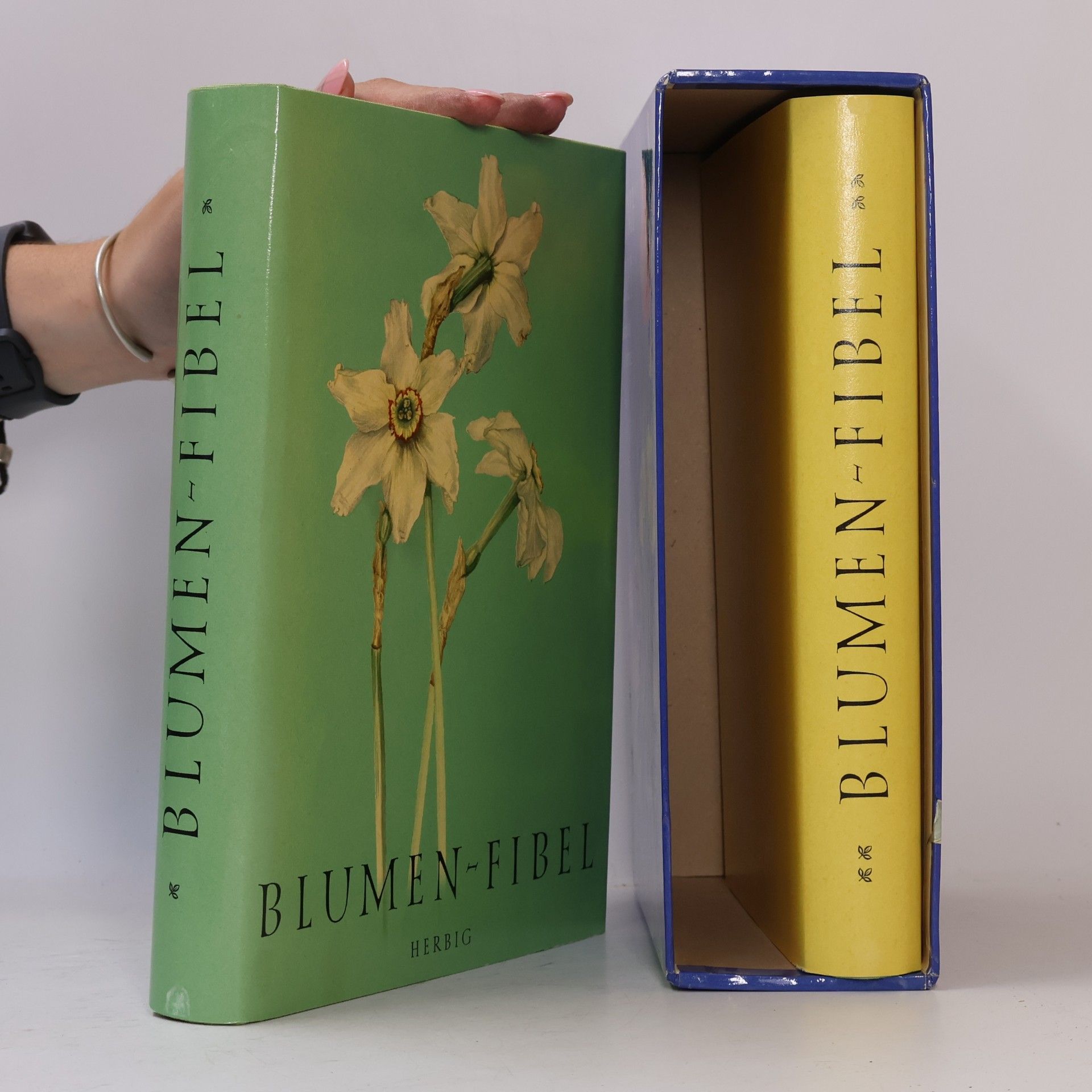 Autorenkollektiv Blumen-Fibel 1-2