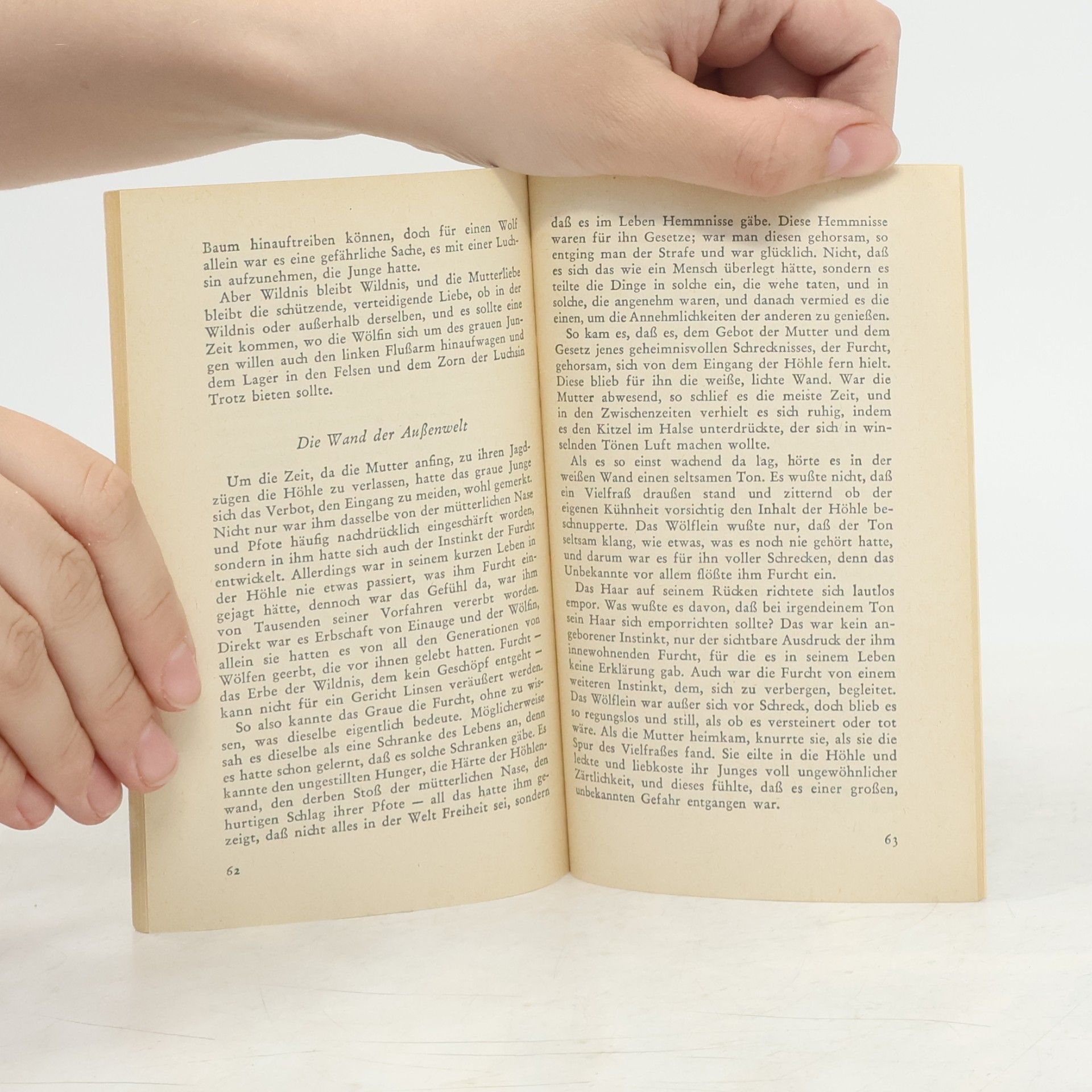 Jack London Eine Beute der Wölfe