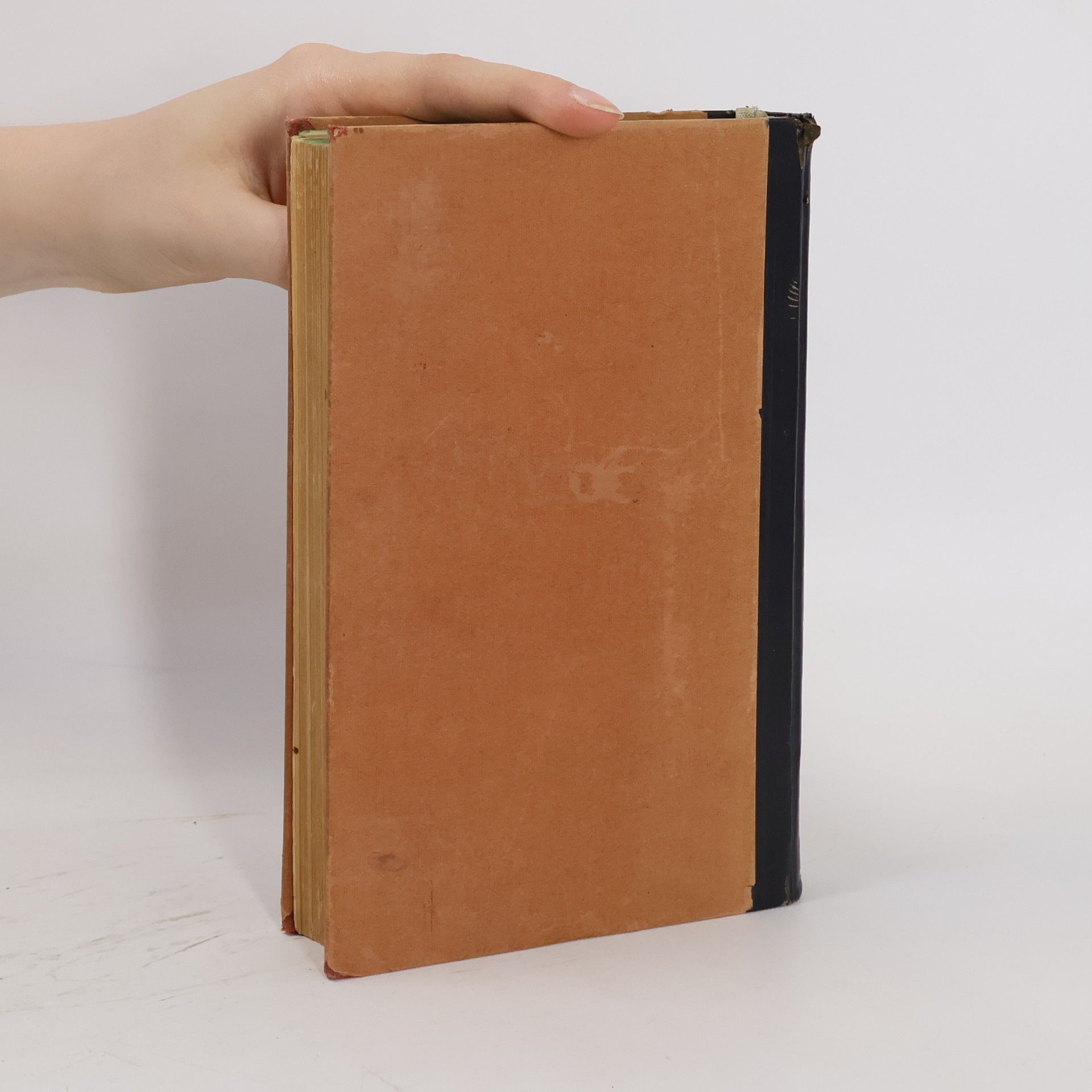 Christian Herrmann Kant, der Denker und Erzieher