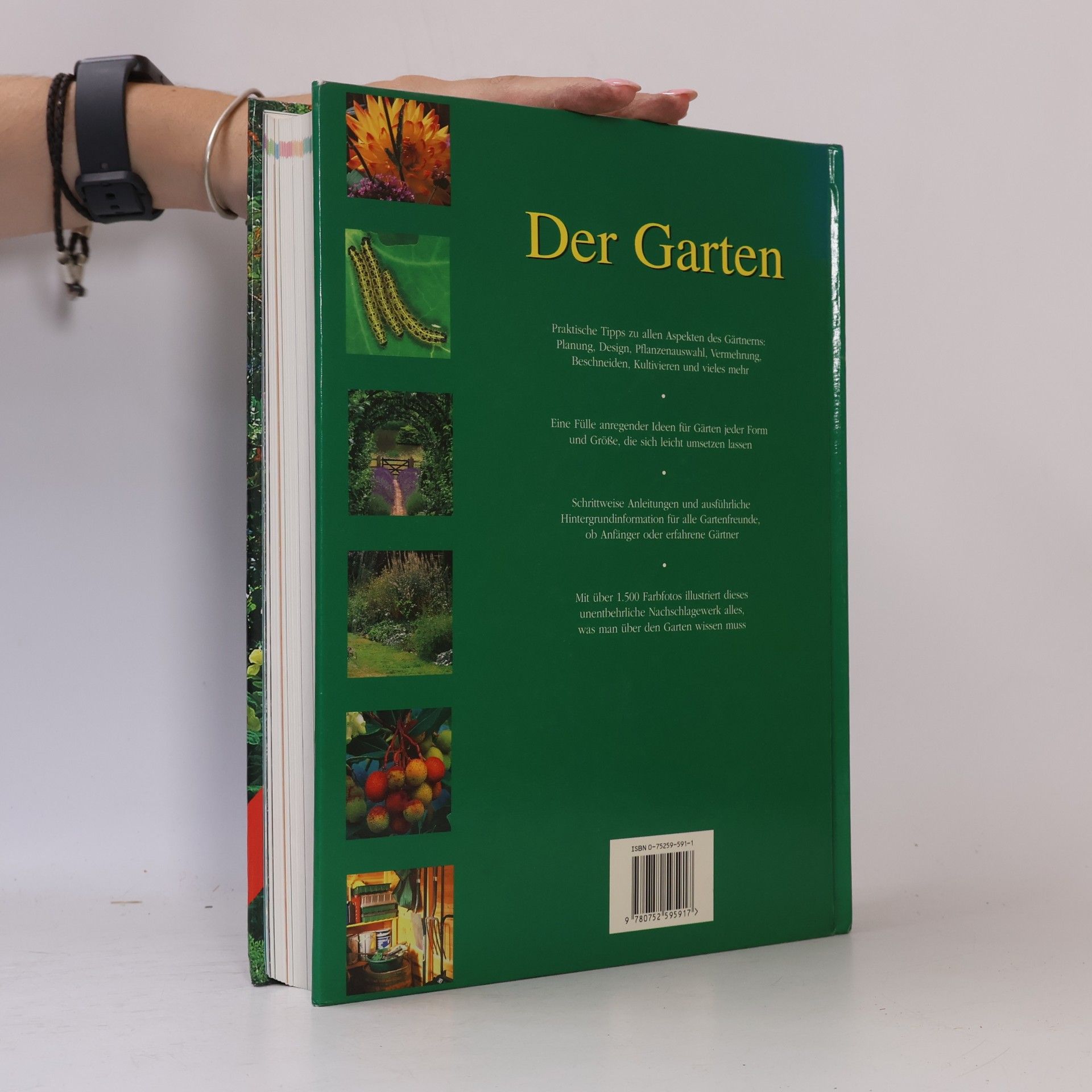 Deena Beverley Der Garten