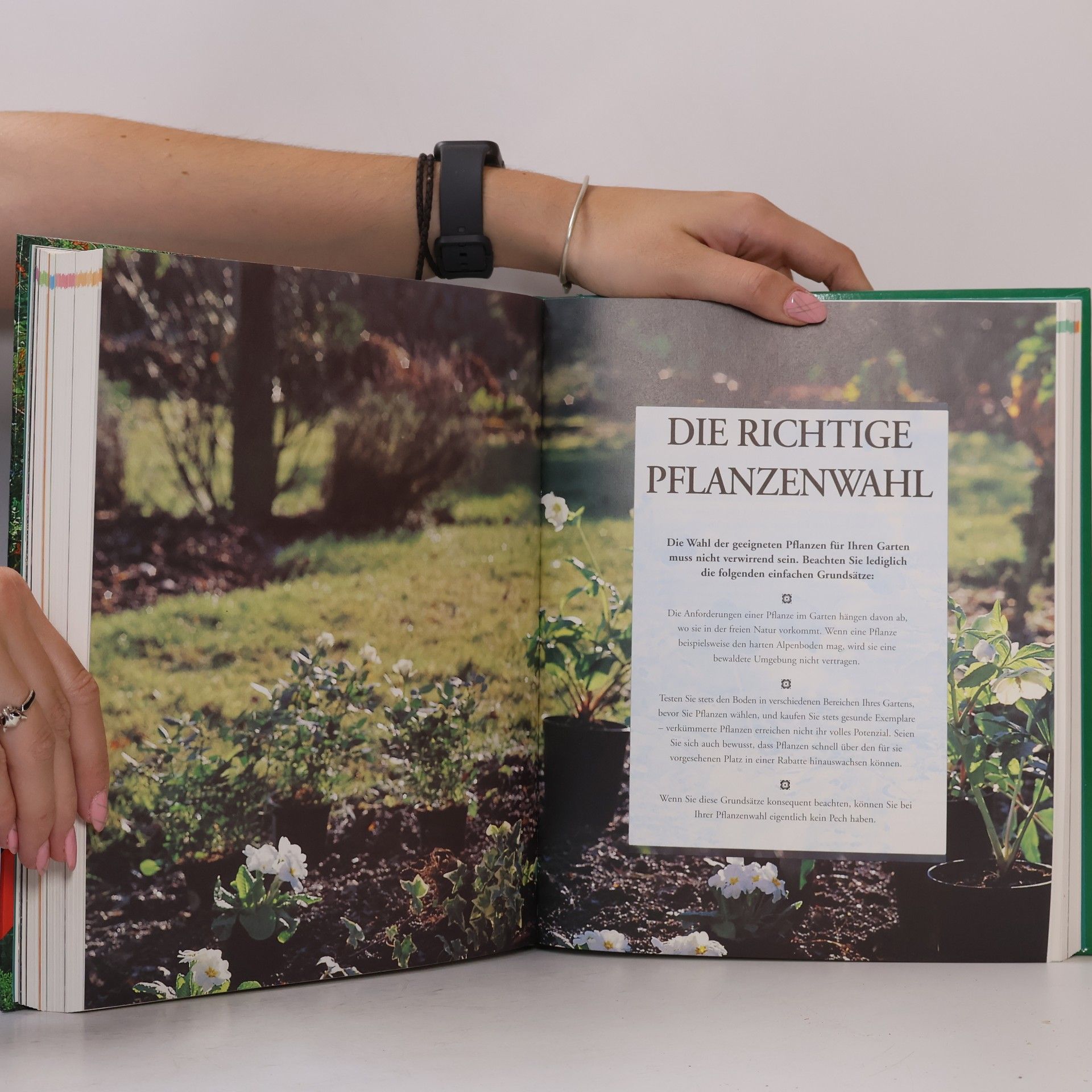Deena Beverley Der Garten
