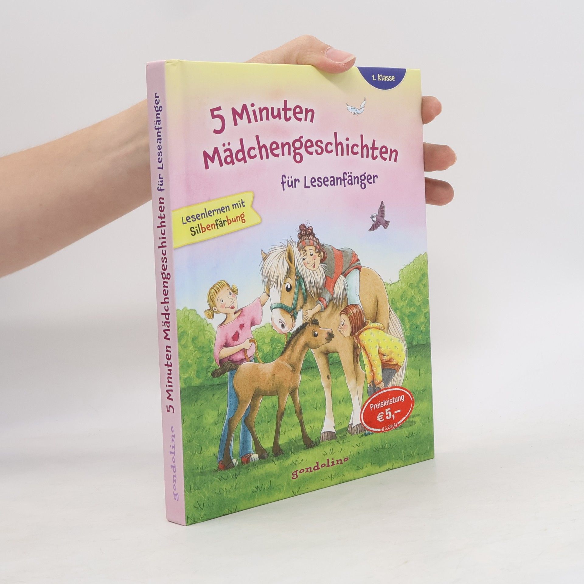 Autorenkollektiv 5 Minuten Mädchengeschichten für Leseanfänger