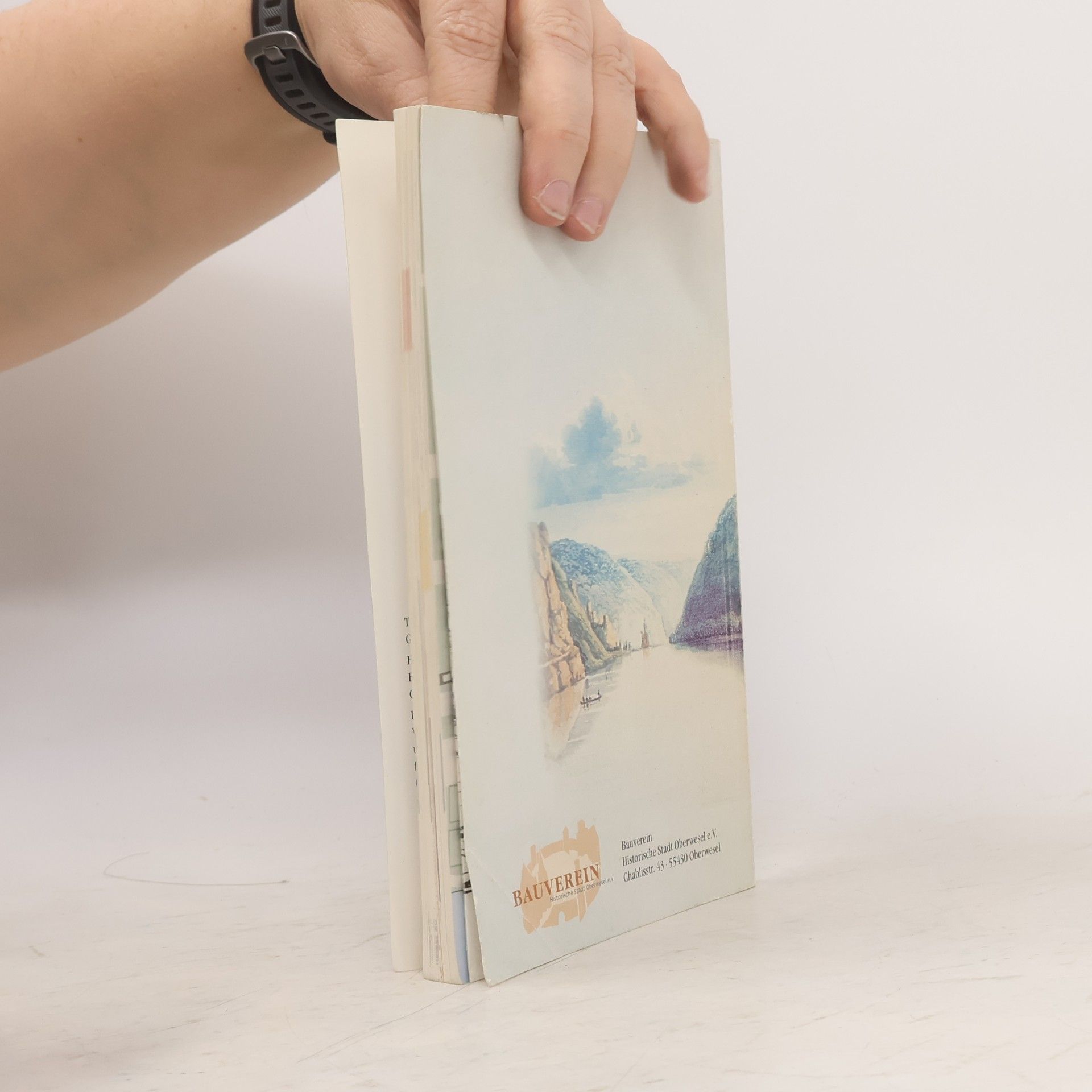 Anton Ph. Schwarz Eine Zeitreise durch Oberwesel