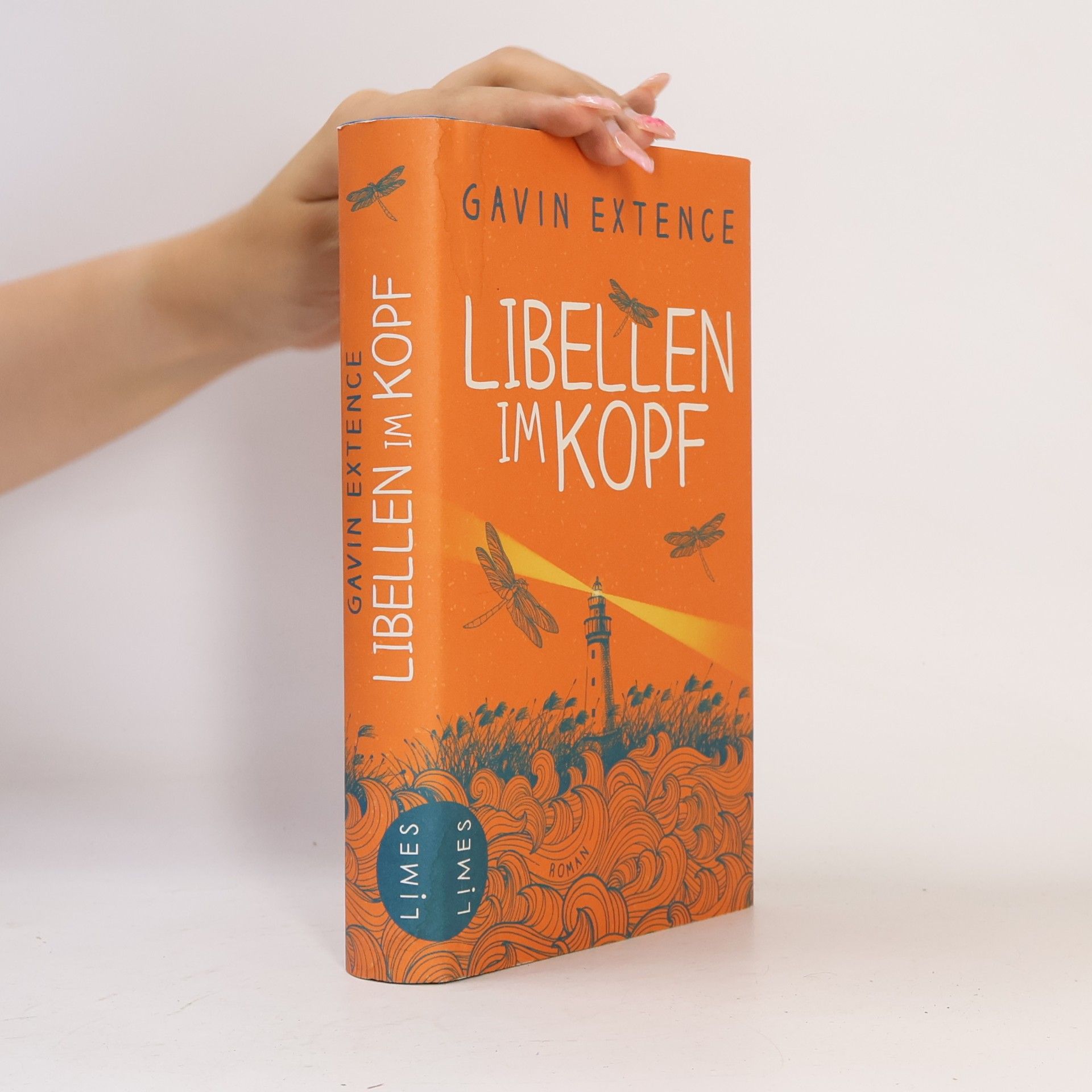 Gavin Extence Libellen im Kopf