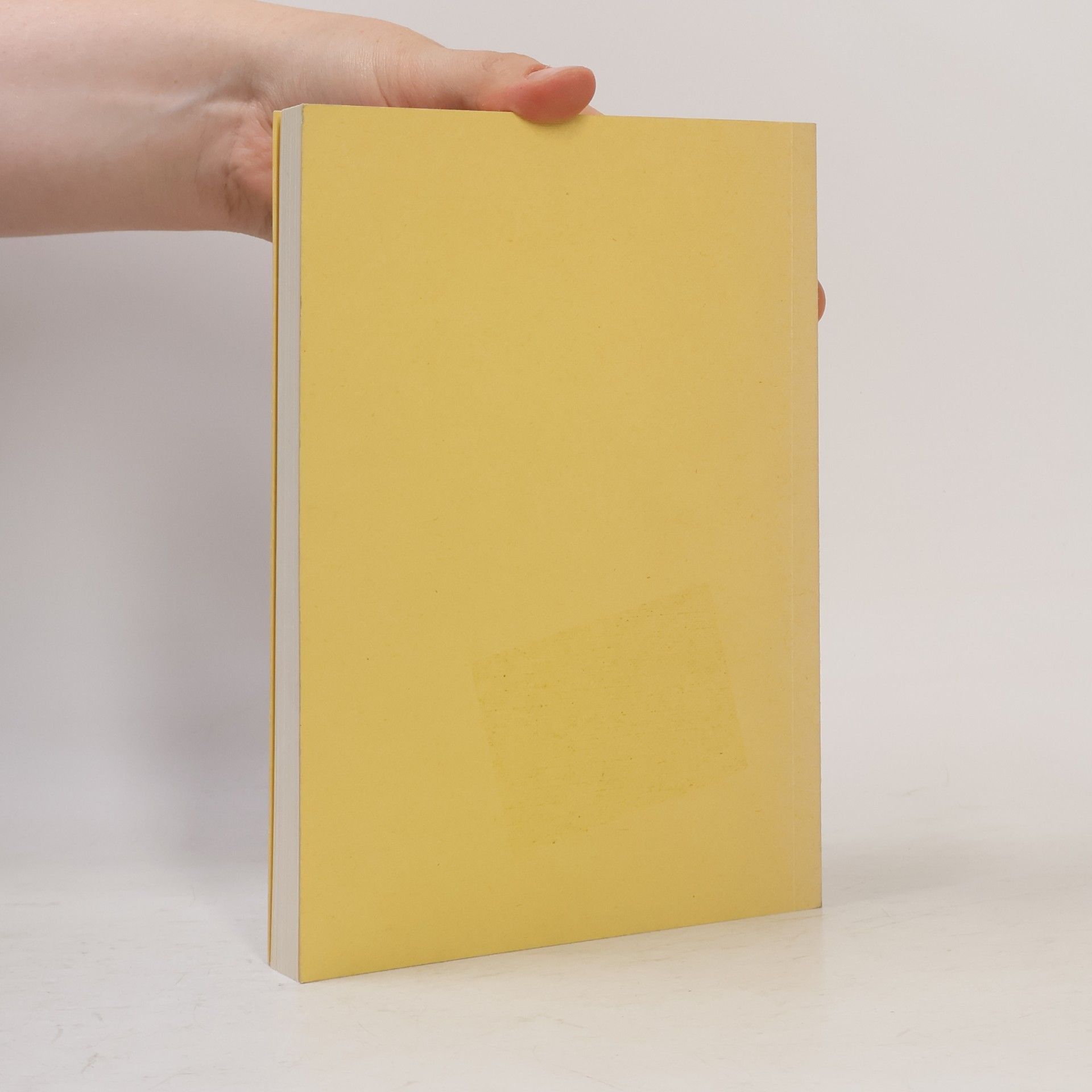 Franz Fischer Nachgelassene Schriften: Philosophie des Sinnes von Sinn