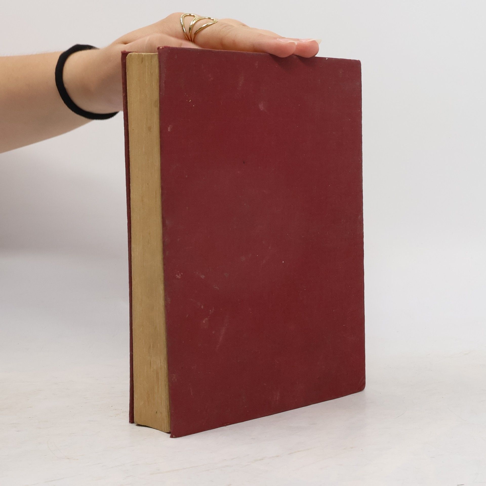kolektiv Kochbuch der „Wiener Mode“