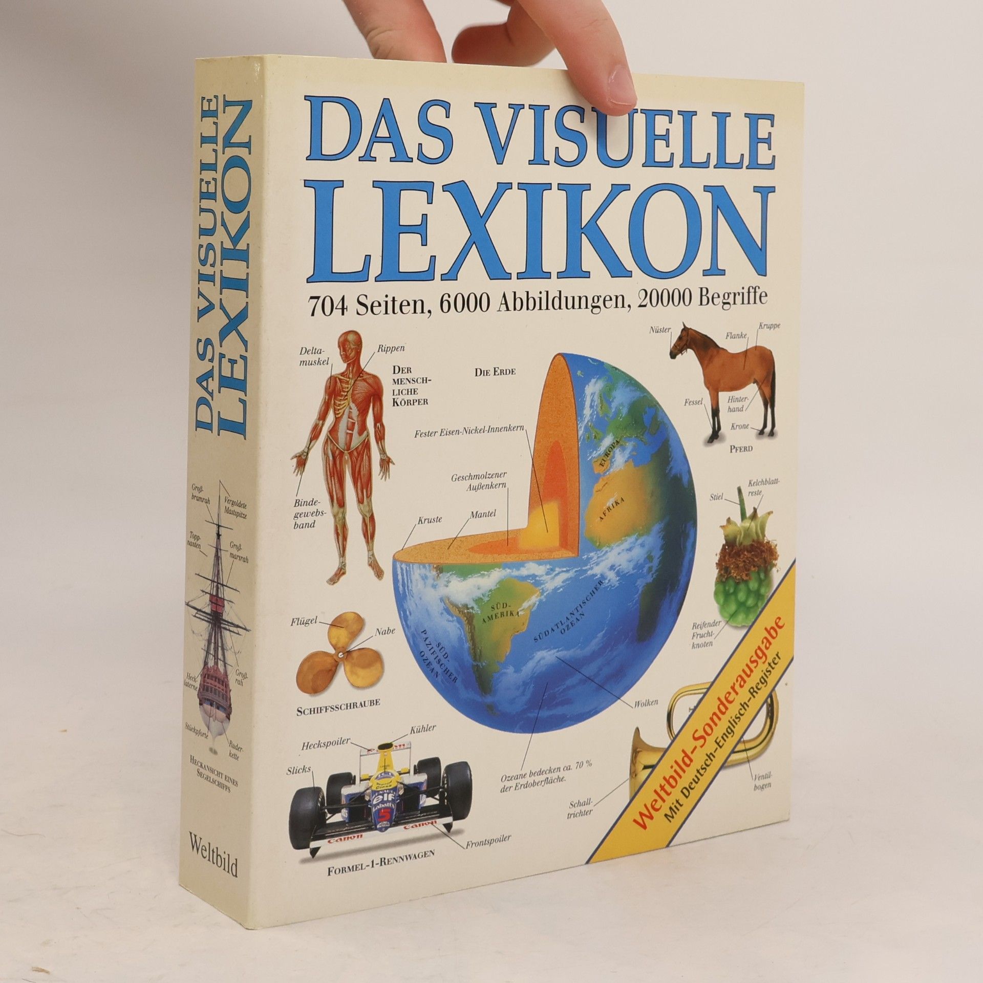 Margot Wilhelmi Das visuelle Lexikon