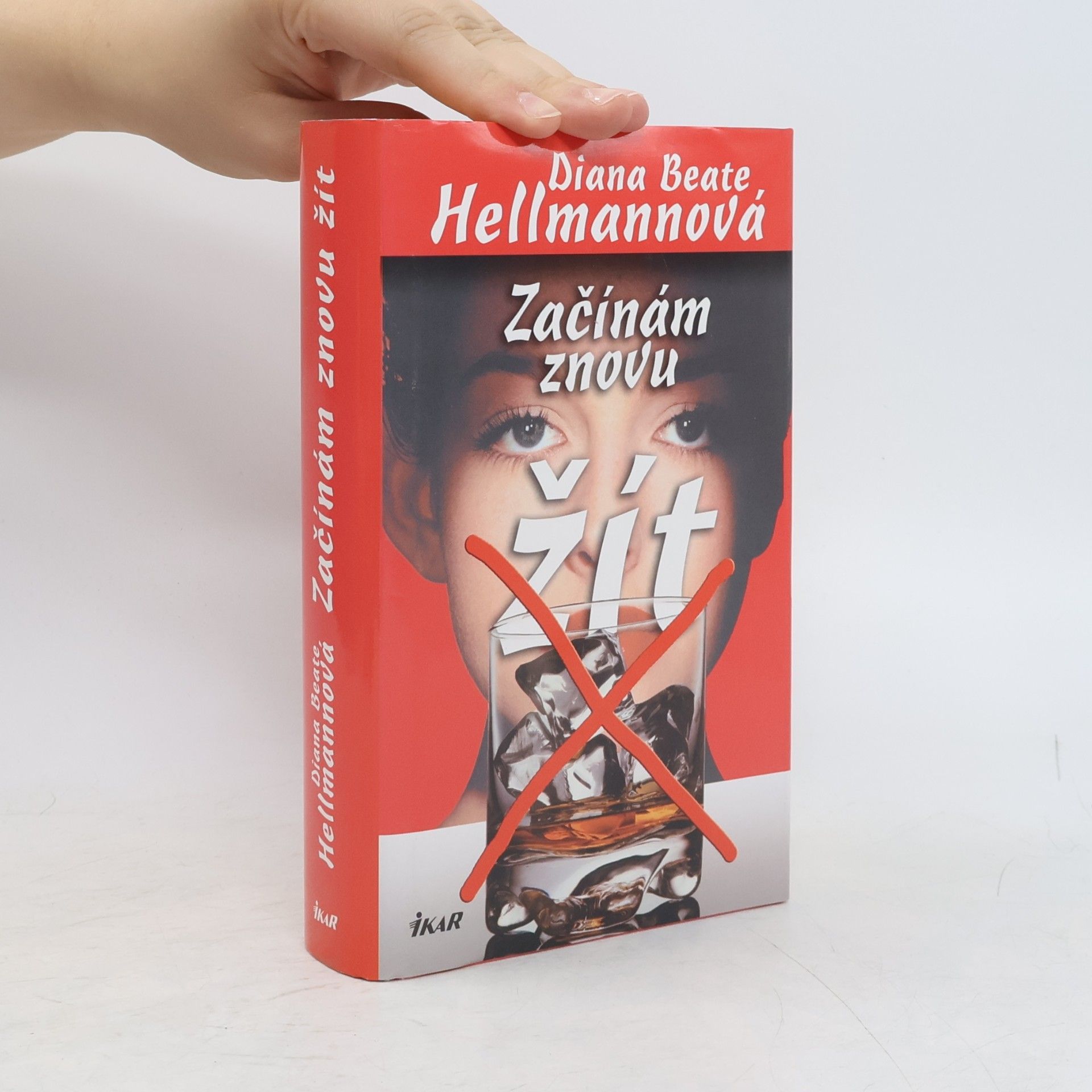 Diana Beate Hellmann Začínám znovu žít