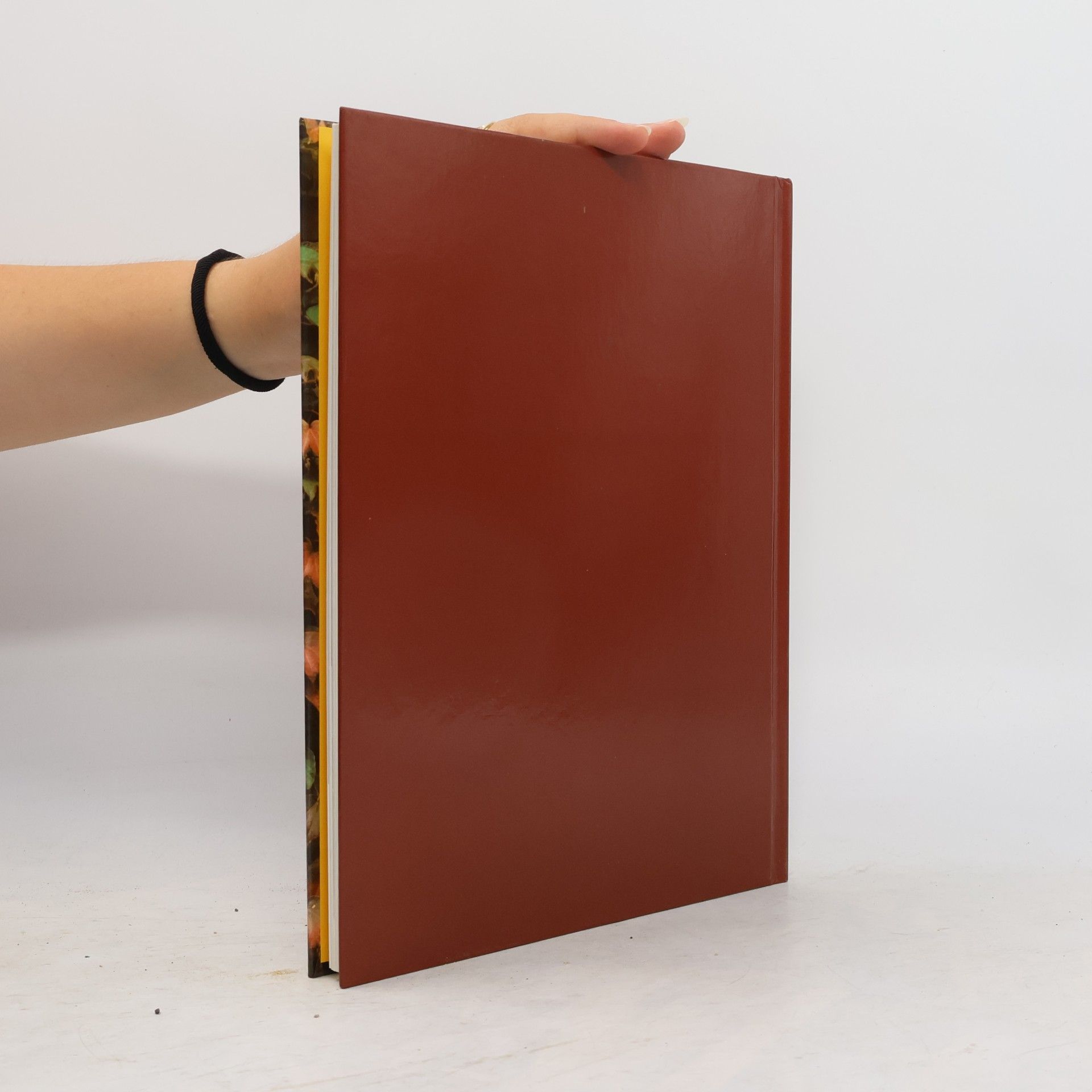 Autores varios Kletterpflanzen