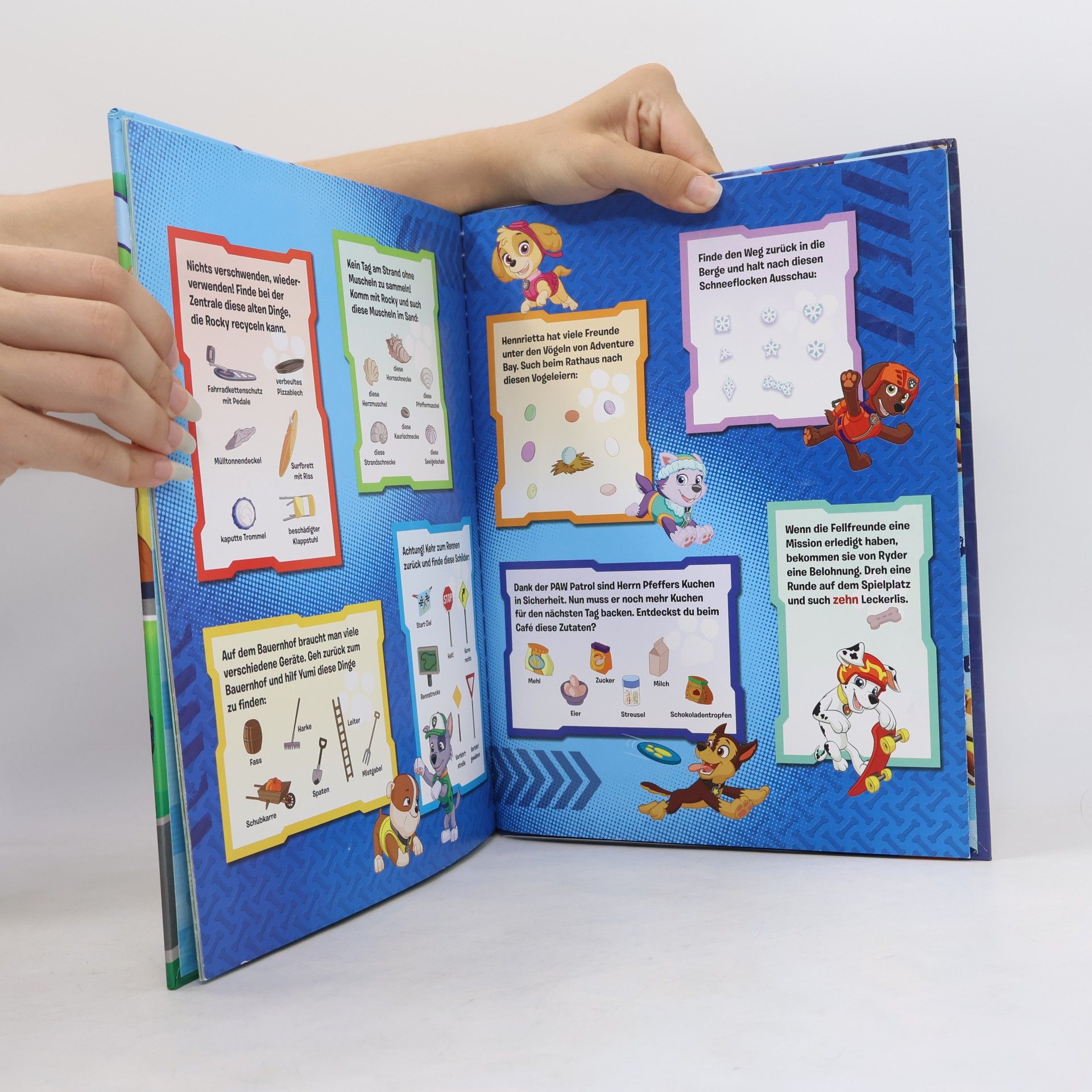 Fabrizio Petrossi PAW Patrol, Helfer auf vier Pfoten - verrückte Such-Bilder