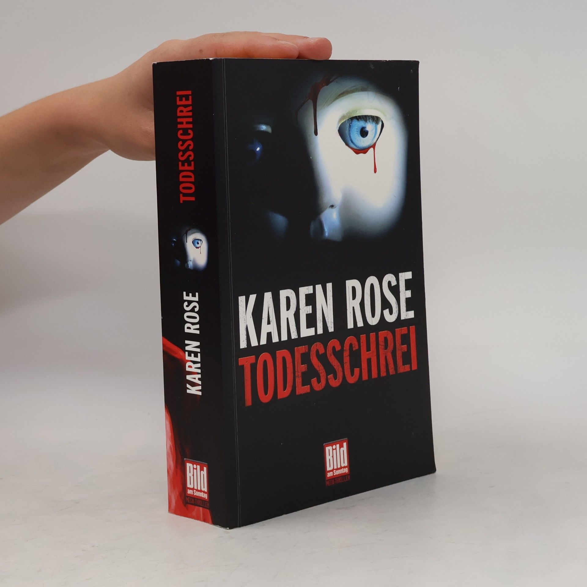 Karen Rose Todesschrei