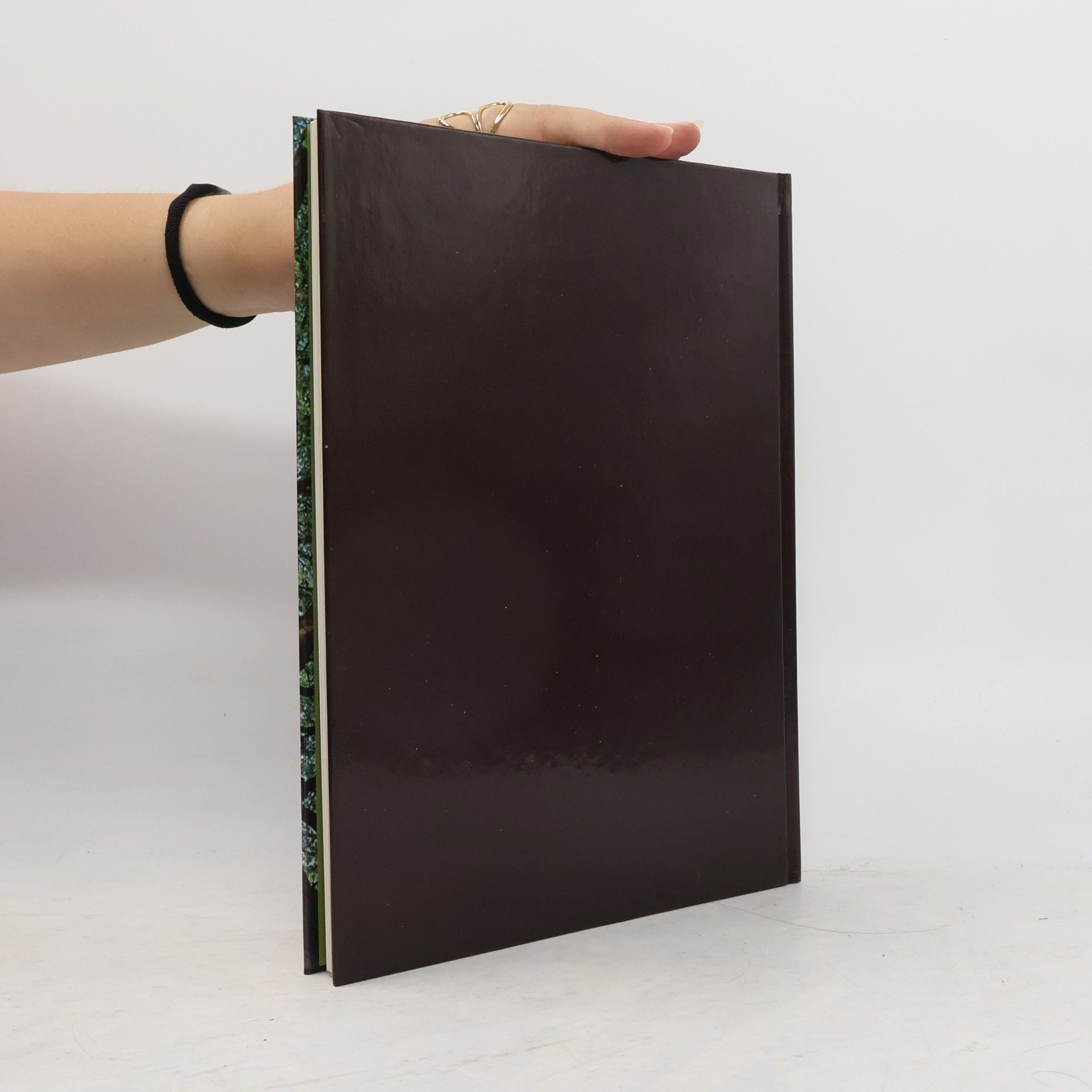Autorenkollektiv Bäume. Time-Life Handbuch der Gartenkunde