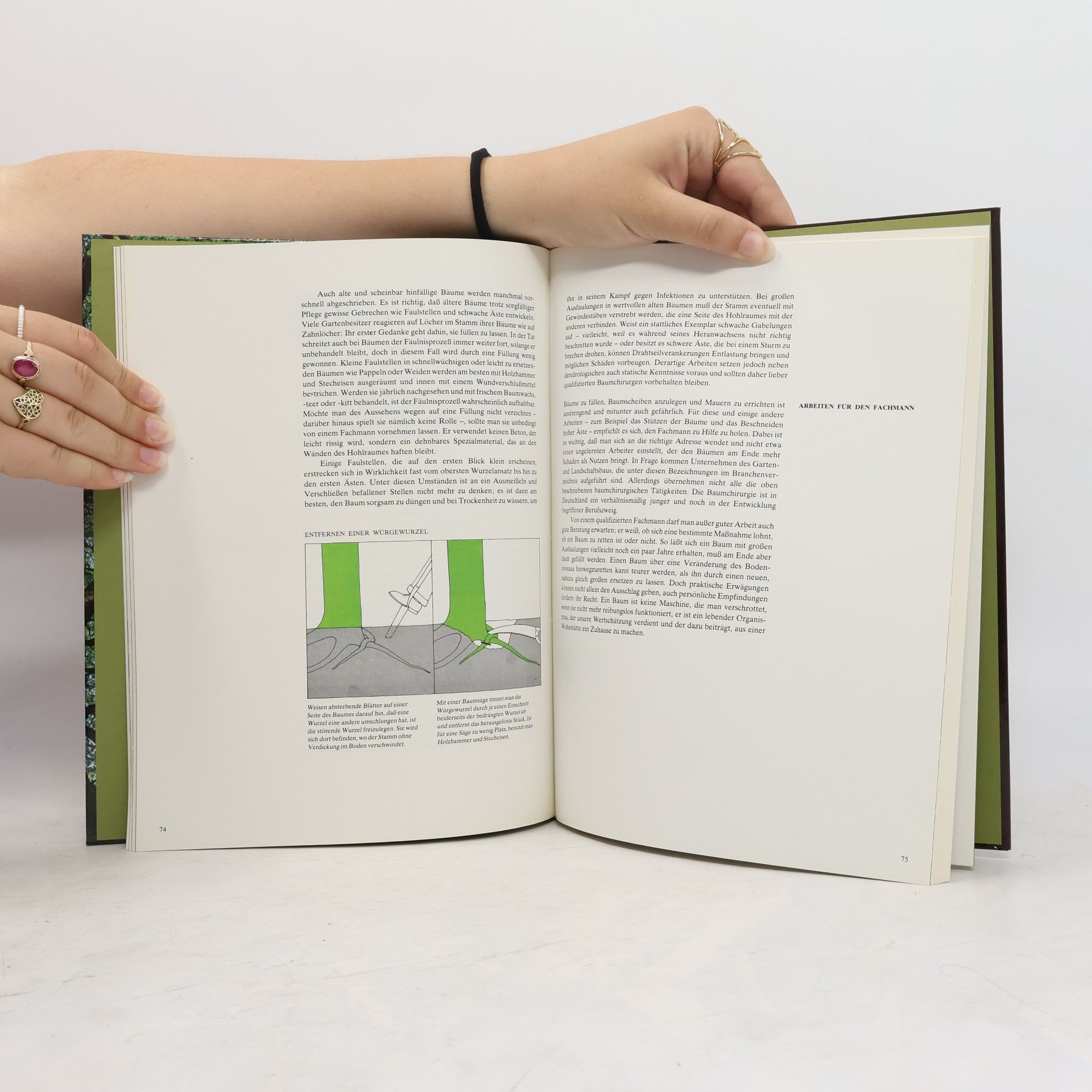 Autorenkollektiv Bäume. Time-Life Handbuch der Gartenkunde
