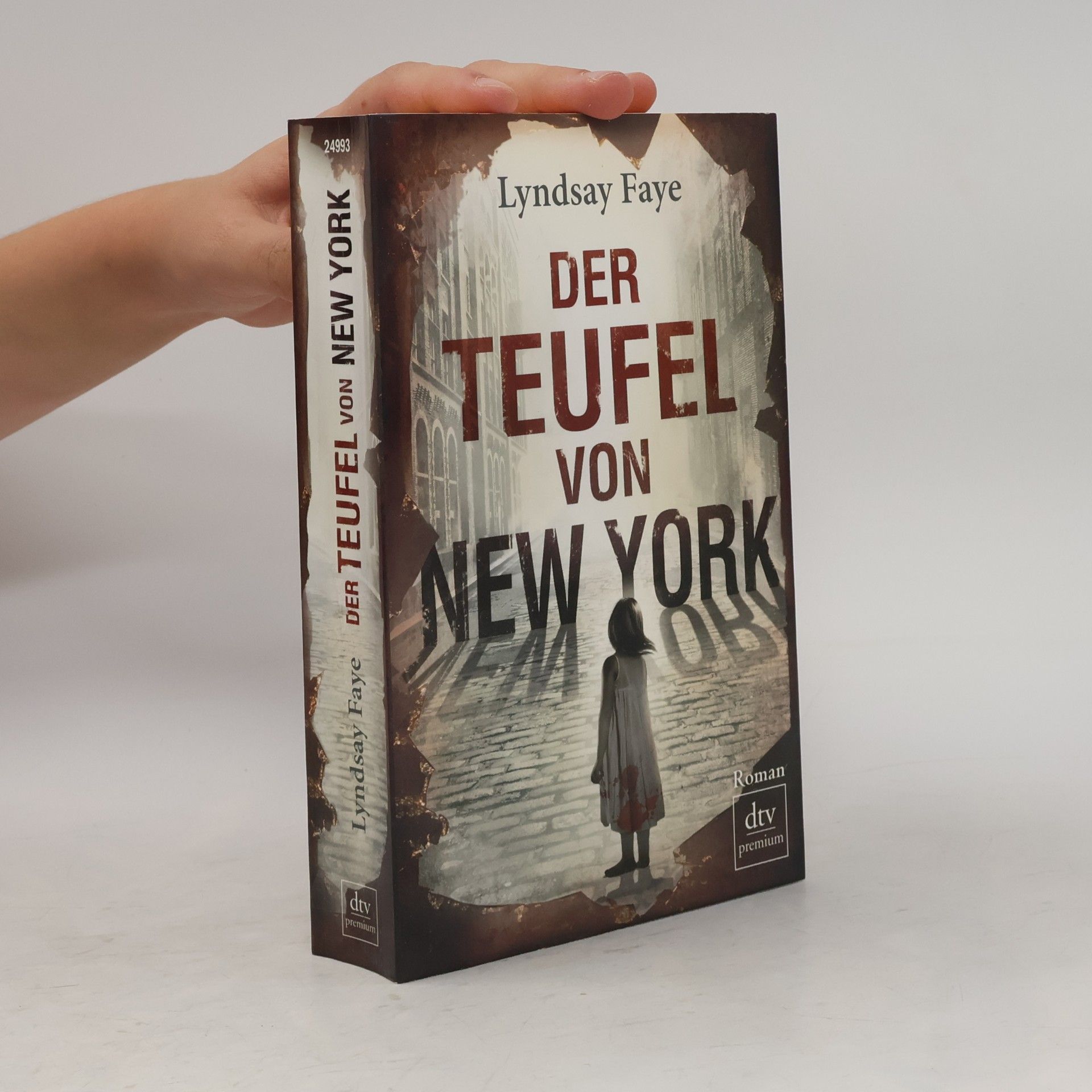 Lyndsay Faye Der Teufel von New York