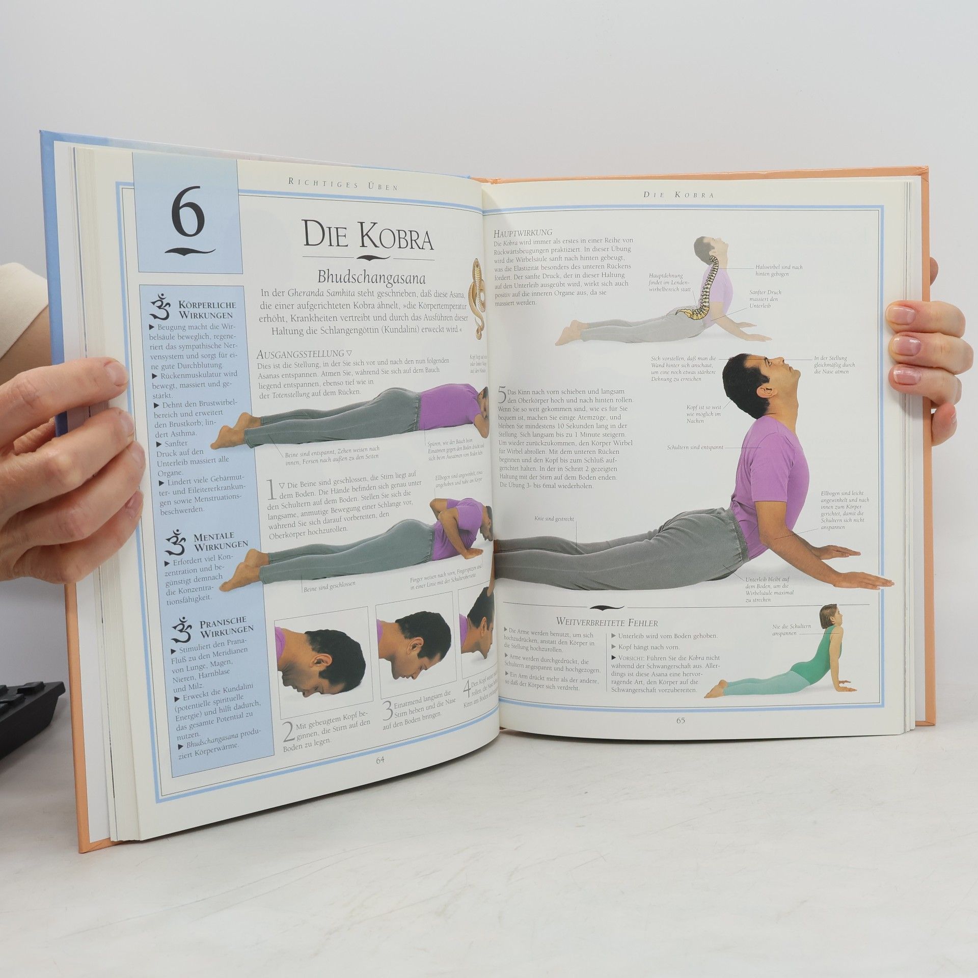Irmgard Perkounigg Yoga für Körper und Seele