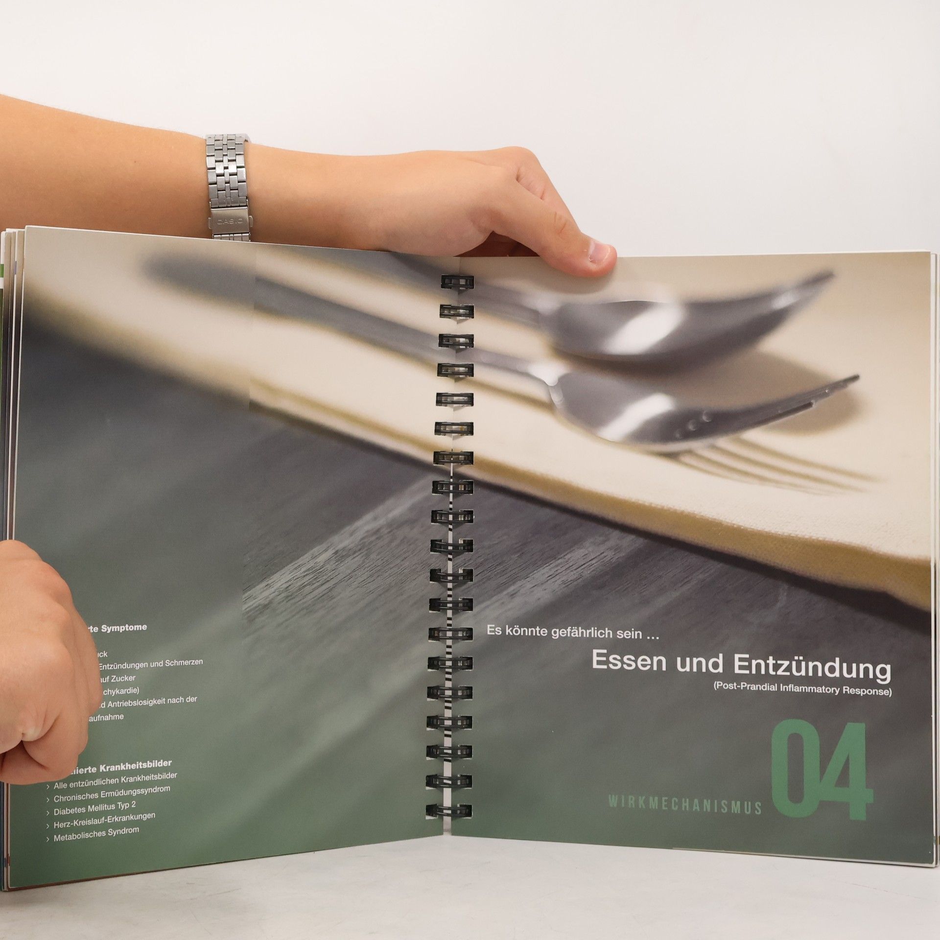 Leo Pruimboom Wirk-Kochbuch