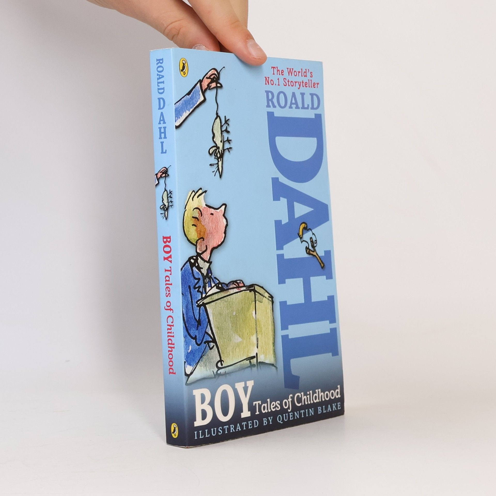 Roald Dahl Boy: Tales of Childhood
