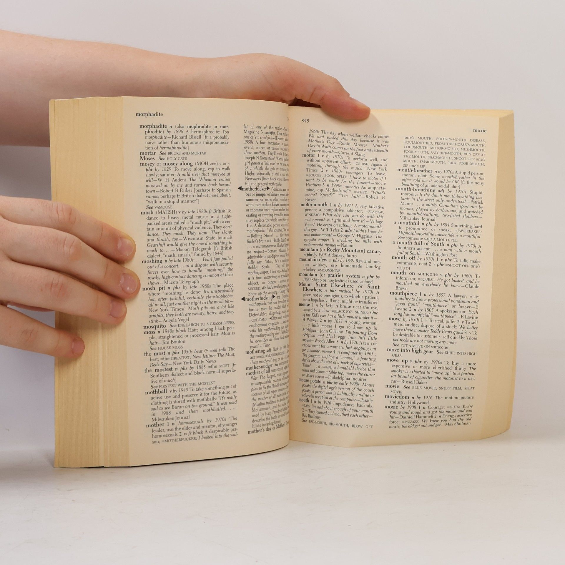 Robert L. Chapman American Slang
