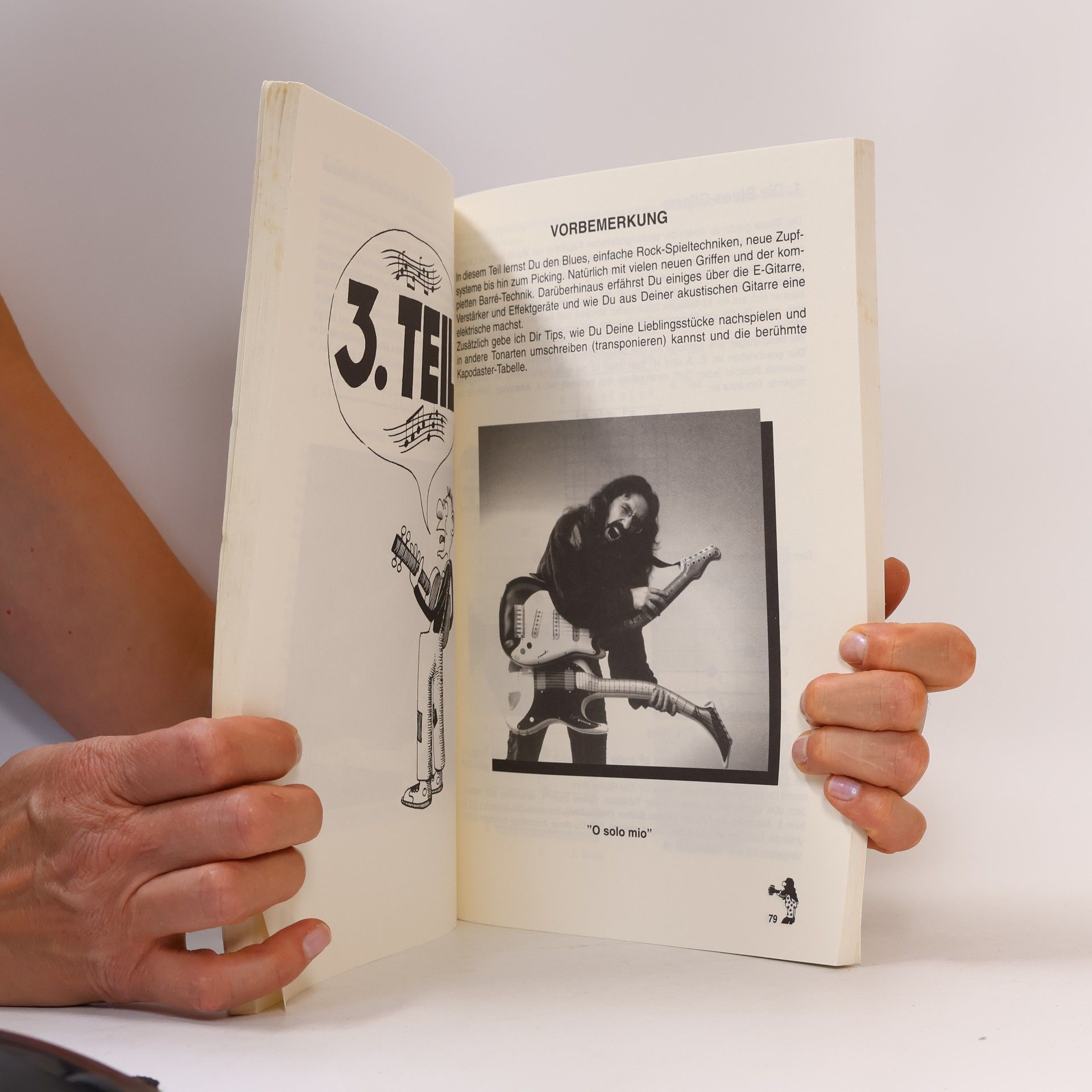 Peter Bursch Peter Bursch's Gitarren Buch