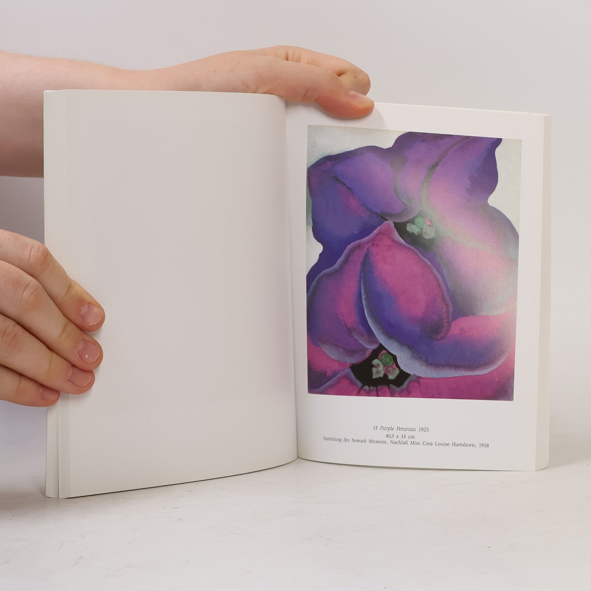 Georgia O’Keeffe Gemälde