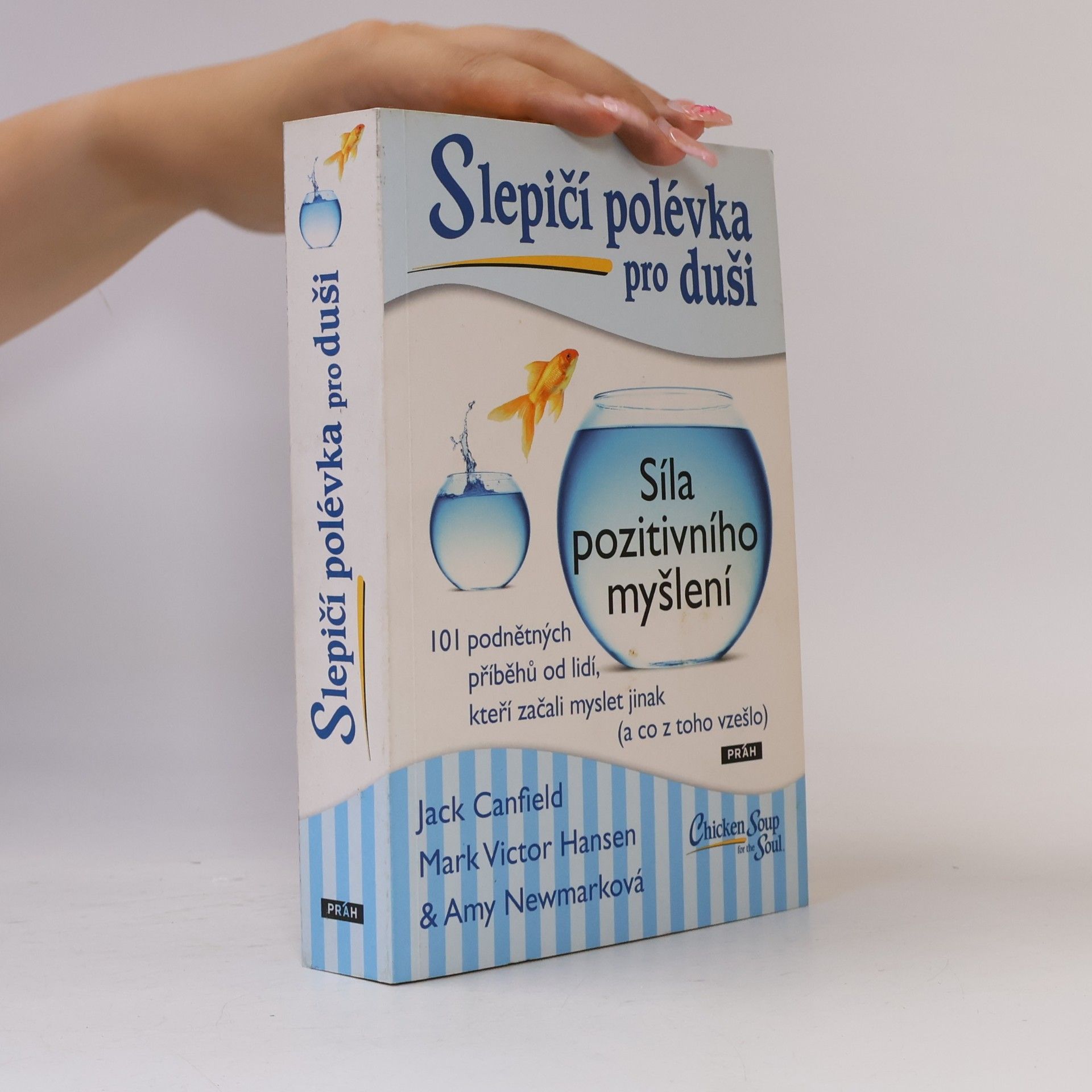Amy Newmark Slepičí polévka pro duši