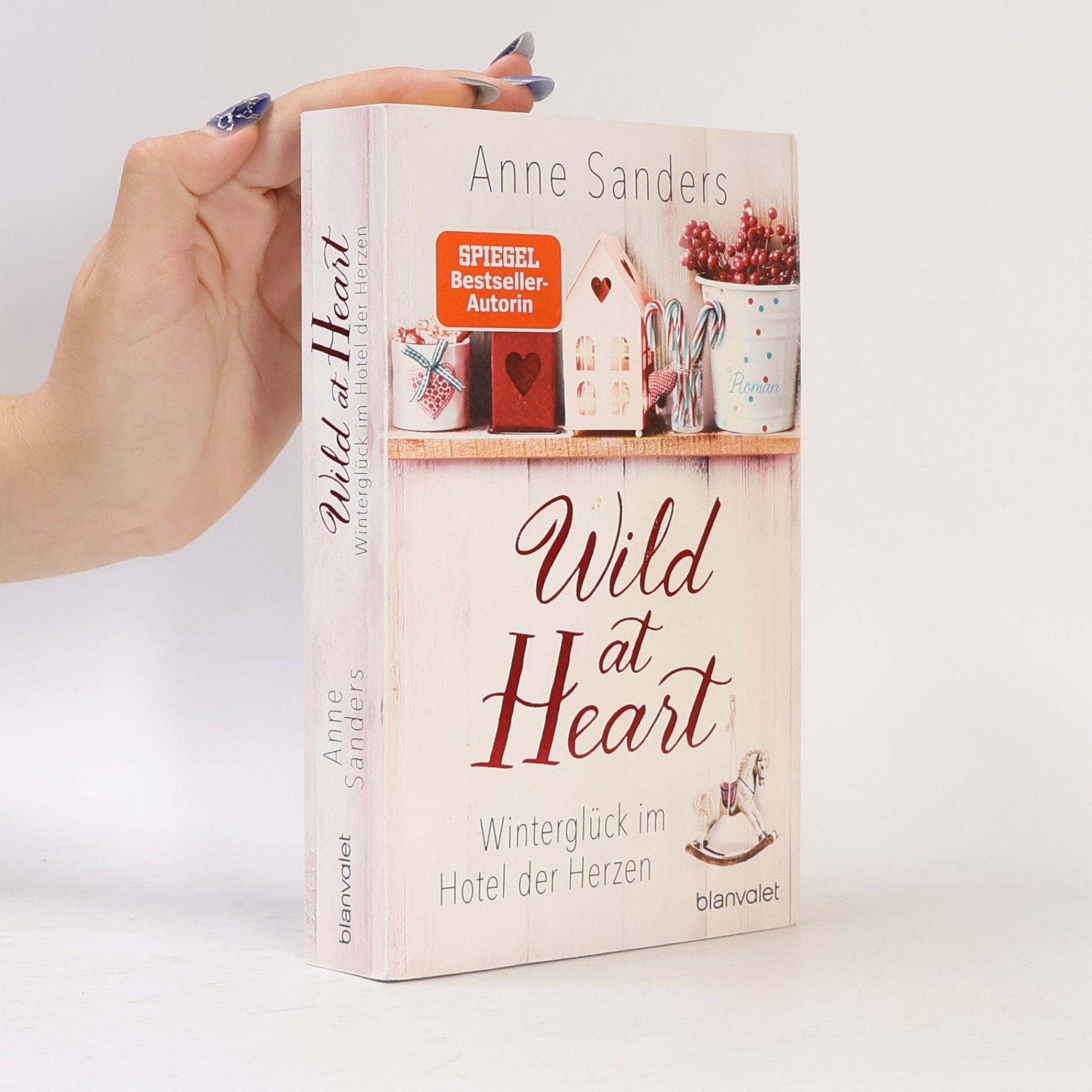 Anne Sanders Wild at heart - Winterglück im Hotel der Herzen