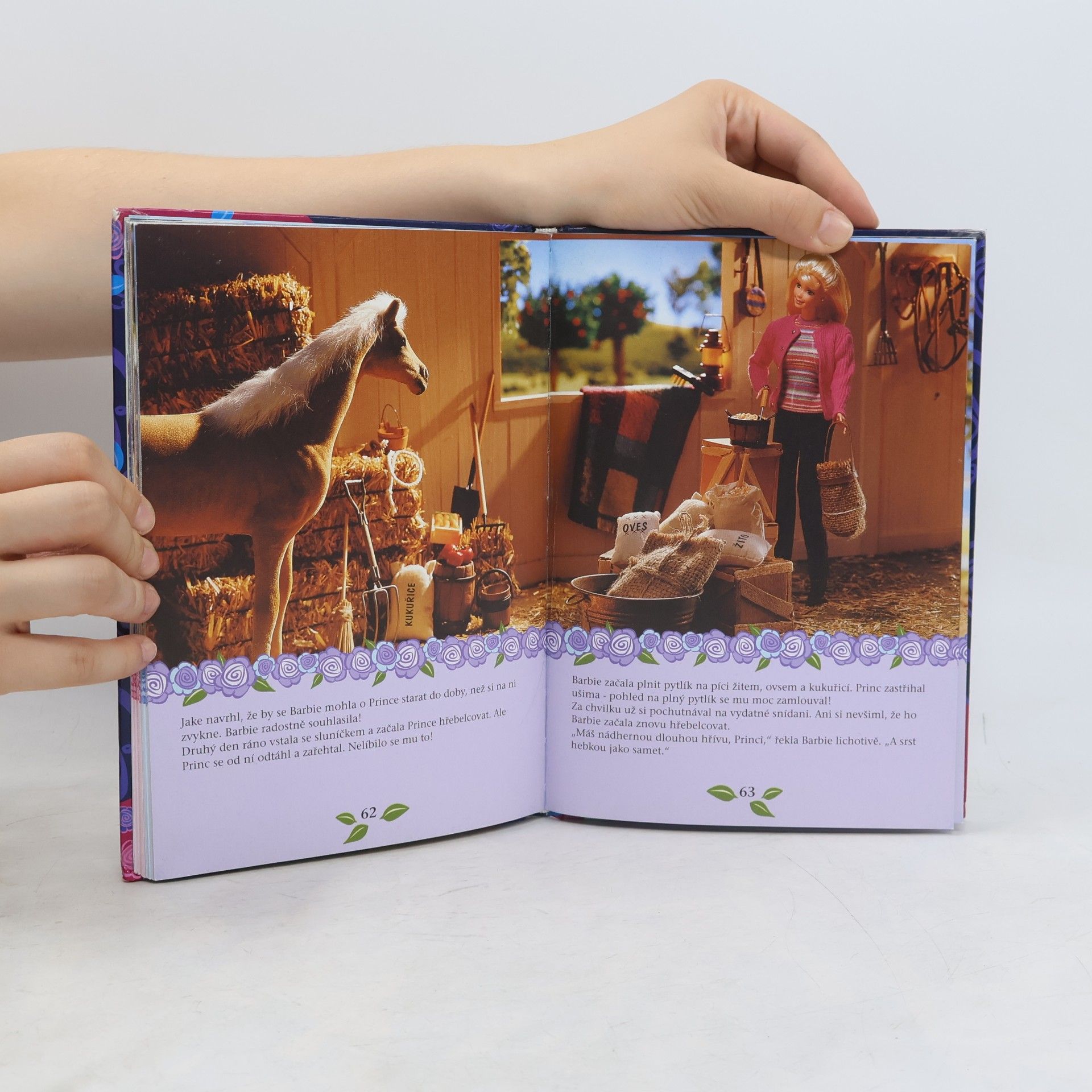 Kolektiv autorů Barbie a její dobrodružství