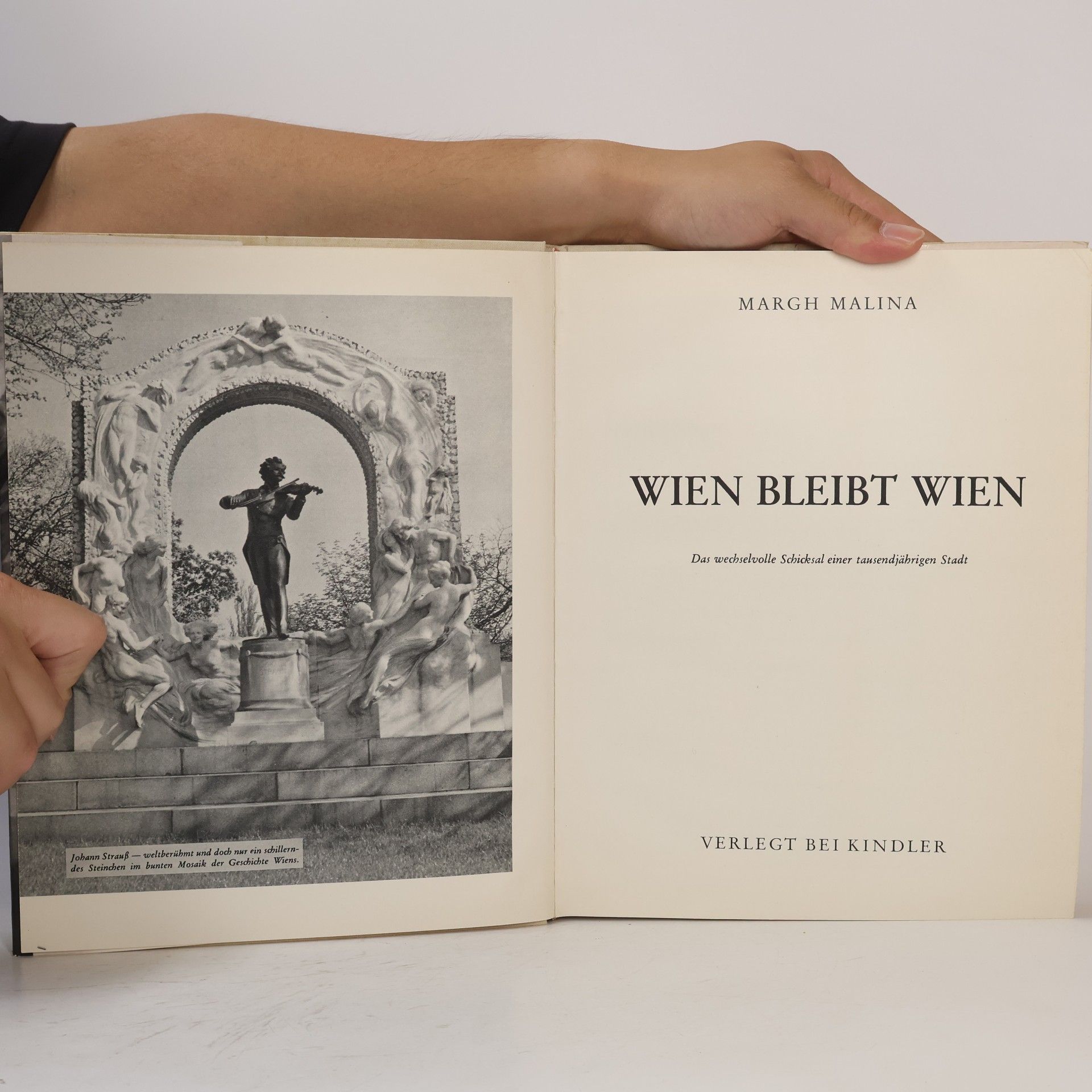Margh Malina Wien bleibt Wien