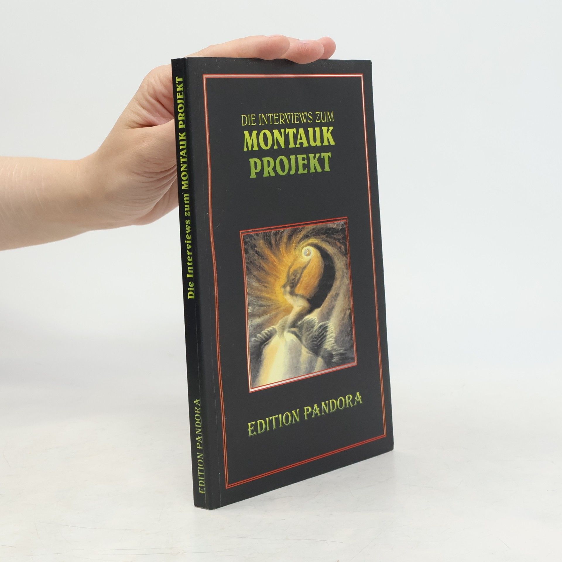 Autorenkollektiv Die Interviews zum Montauk-Projekt