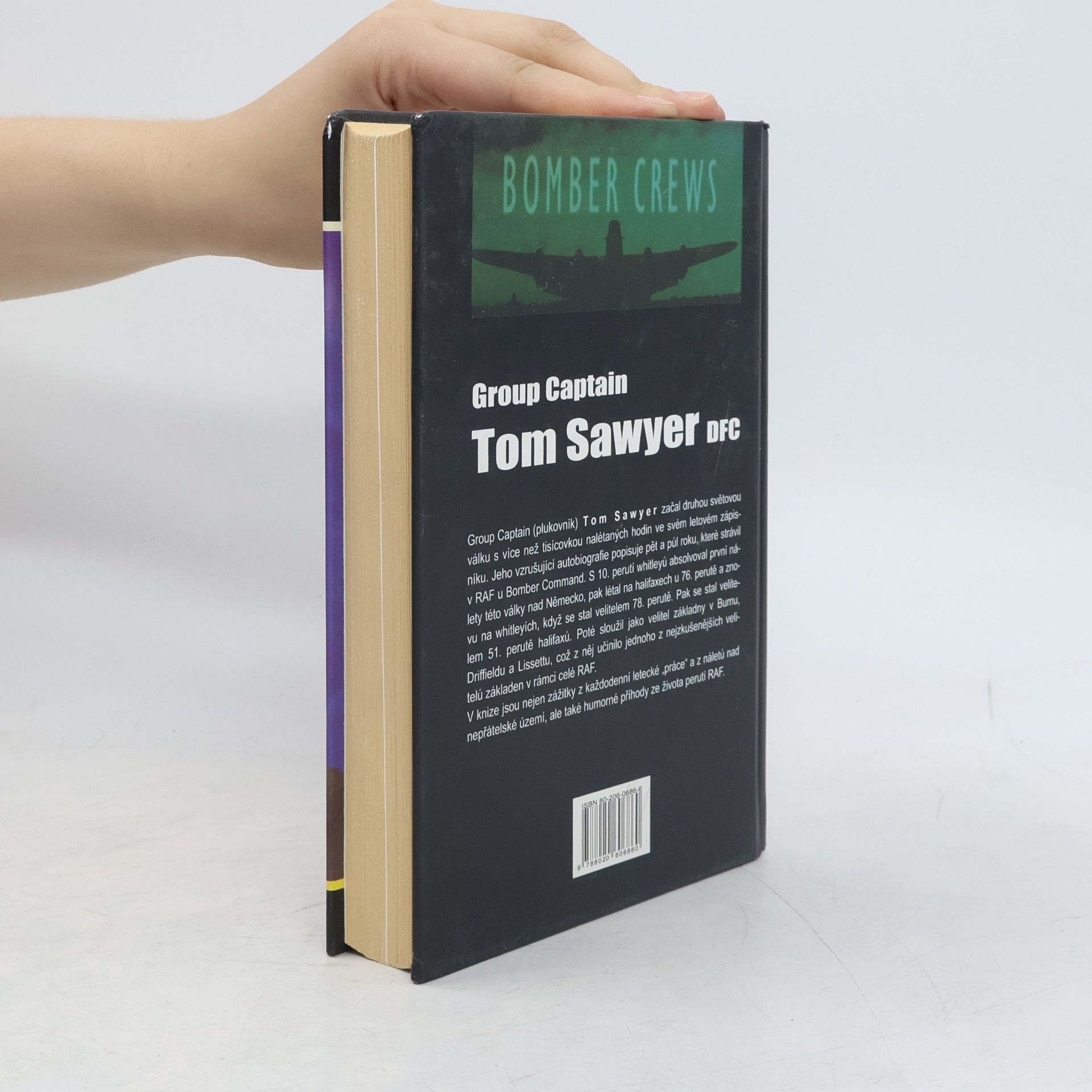 Tom Sawyer Jenom sovy a zatracení blázni létají v noci