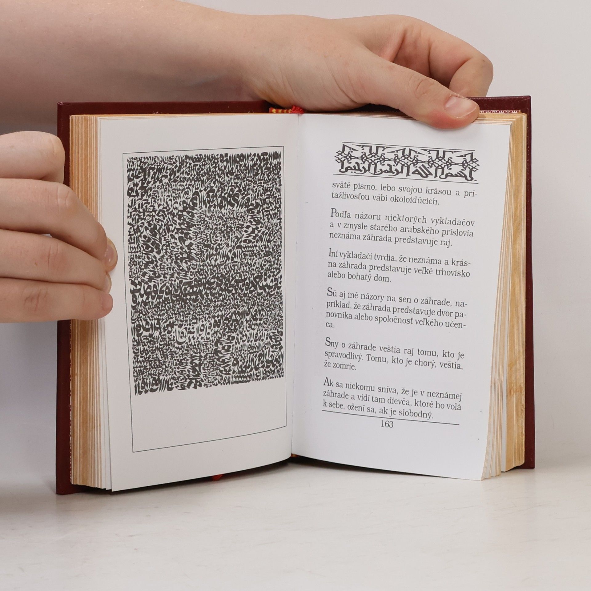 Collectif d'auteurs Snár arabských mudrcov