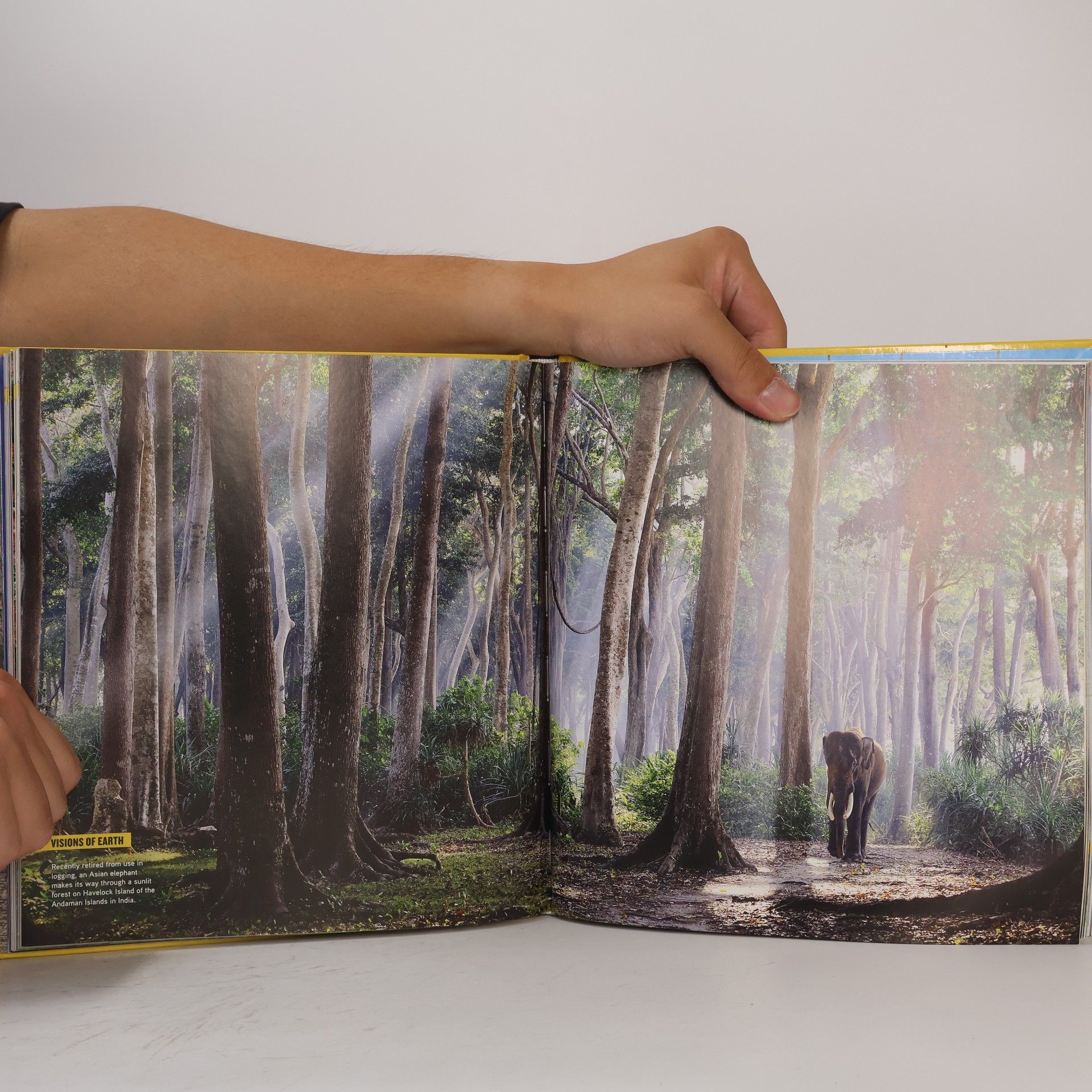 Kolektiv autorů National Geographic yearbook 2014